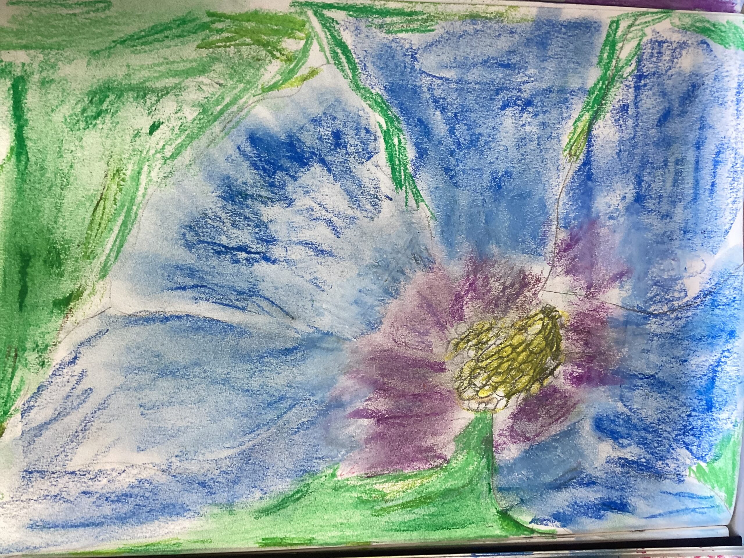 St Luke's Blog Pages