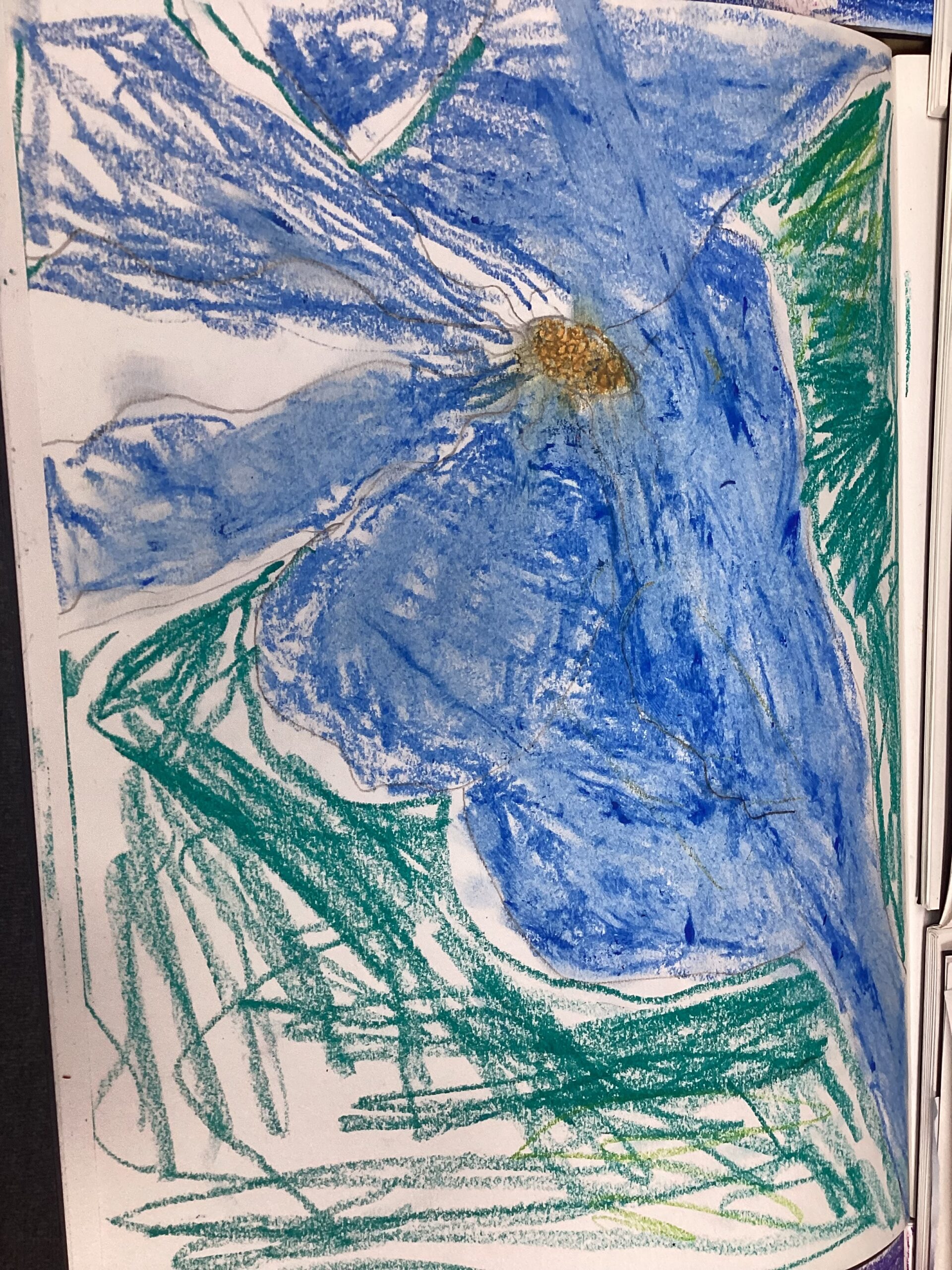 St Luke's Blog Pages