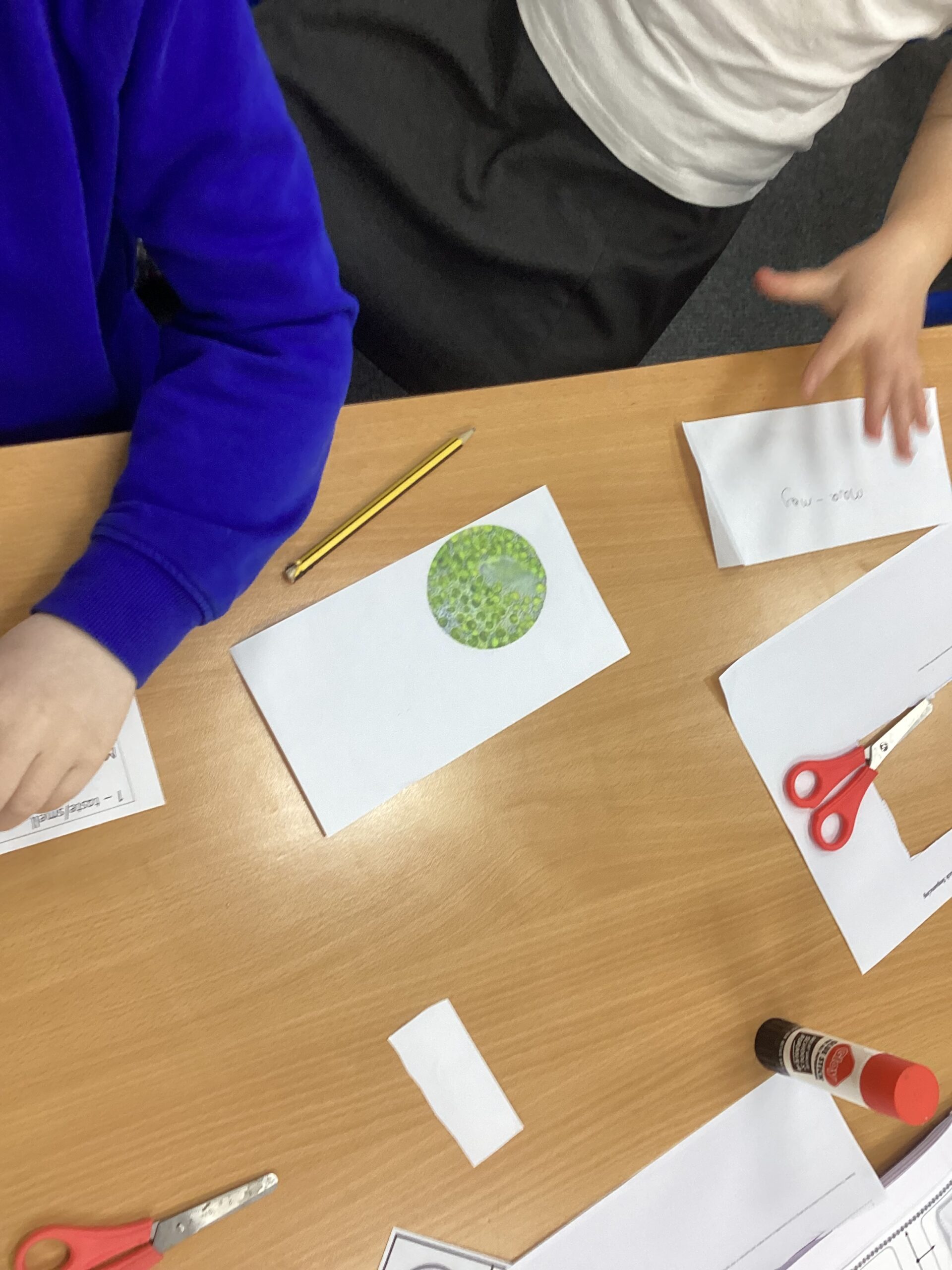 St Luke's Blog Pages