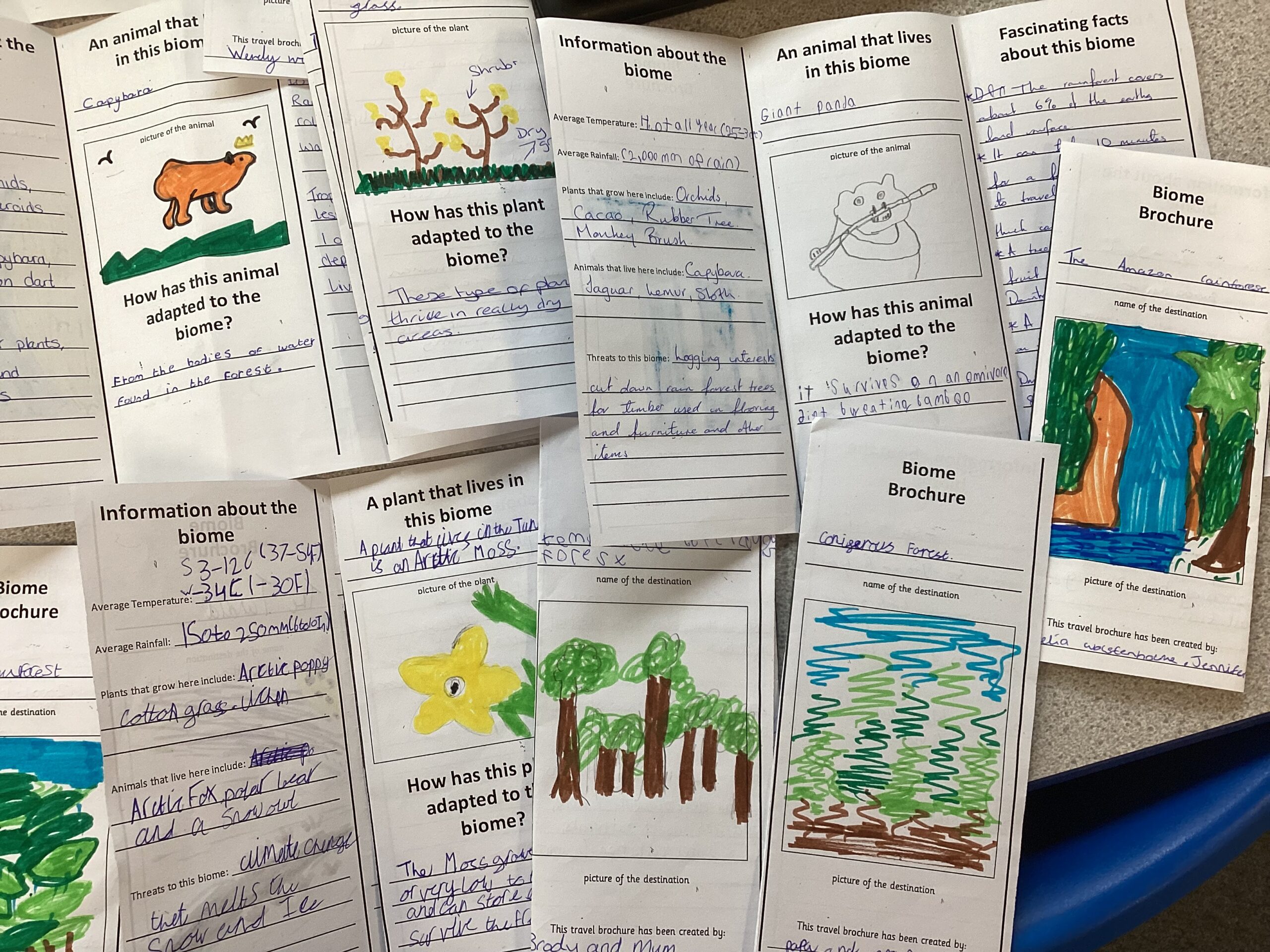 St Luke's Blog Pages