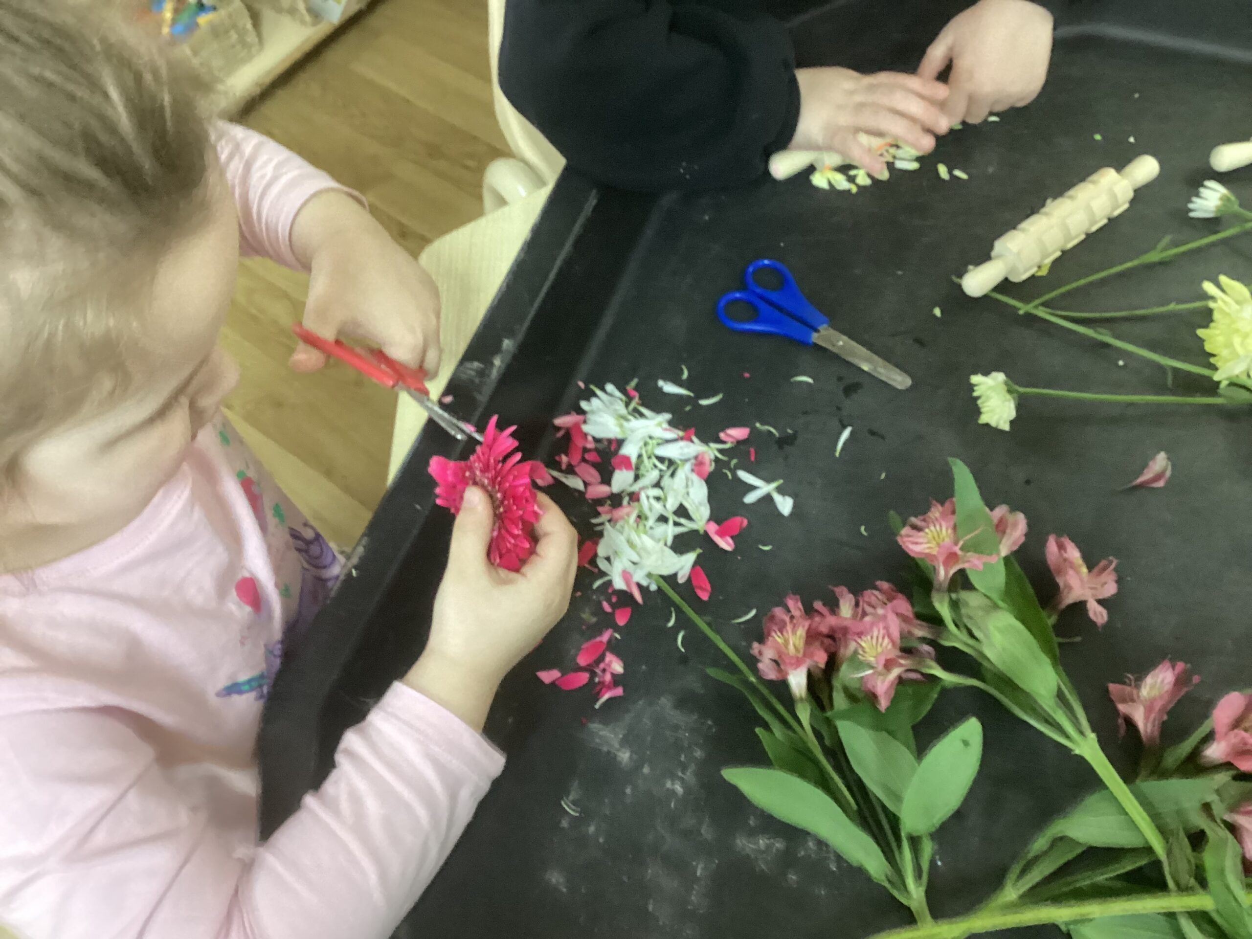 St Luke's Blog Pages