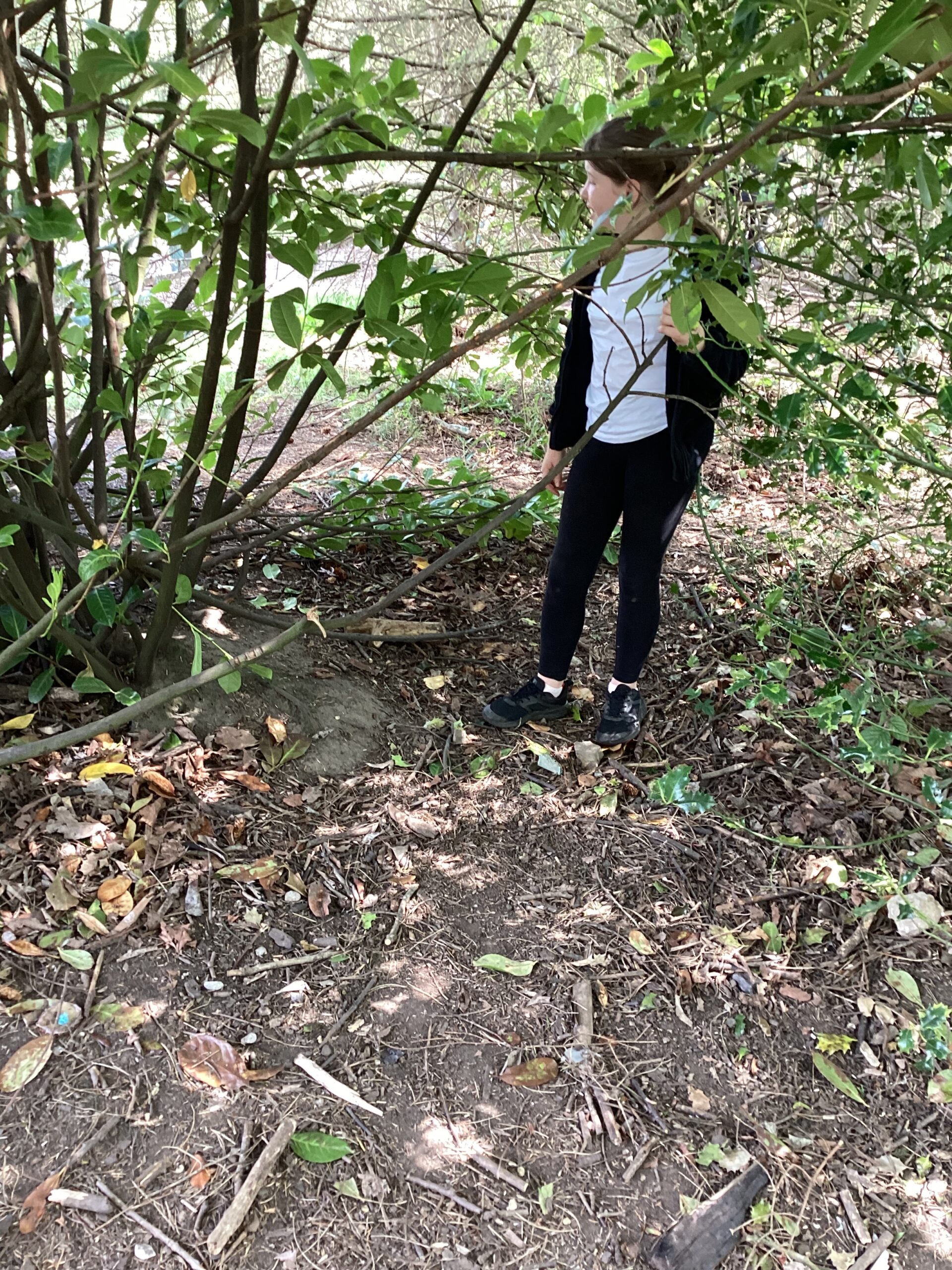 St Luke's Blog Pages