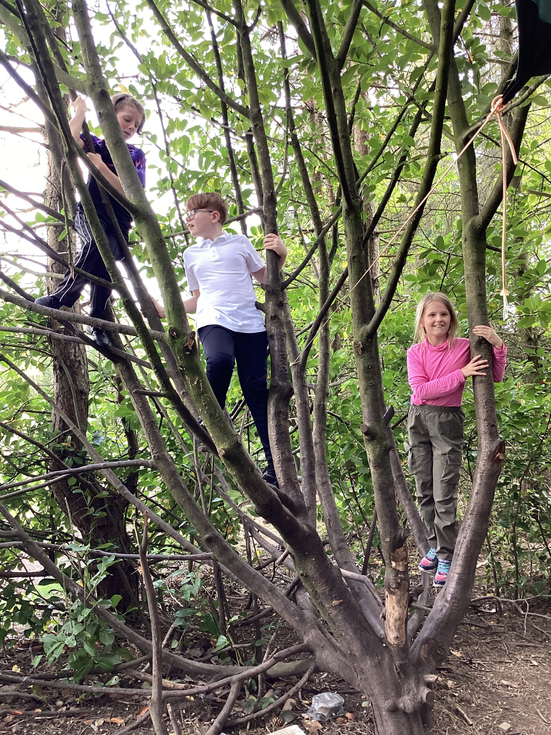 St Luke's Blog Pages