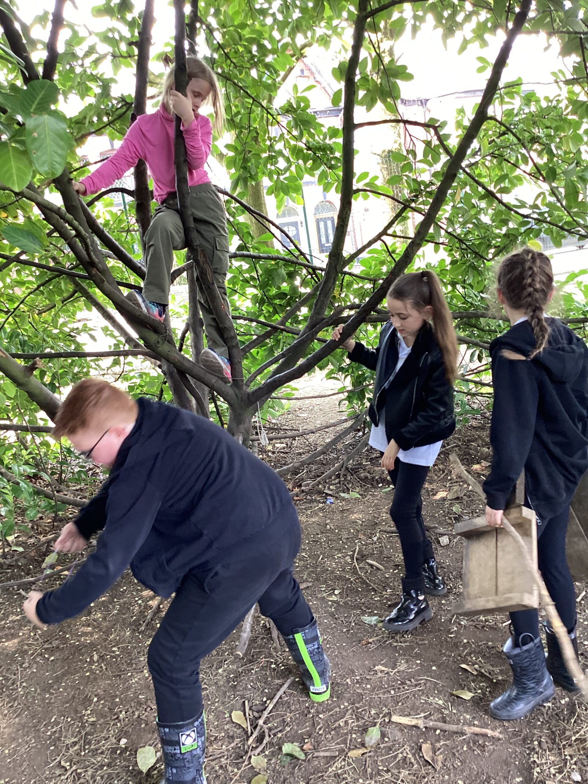 St Luke's Blog Pages