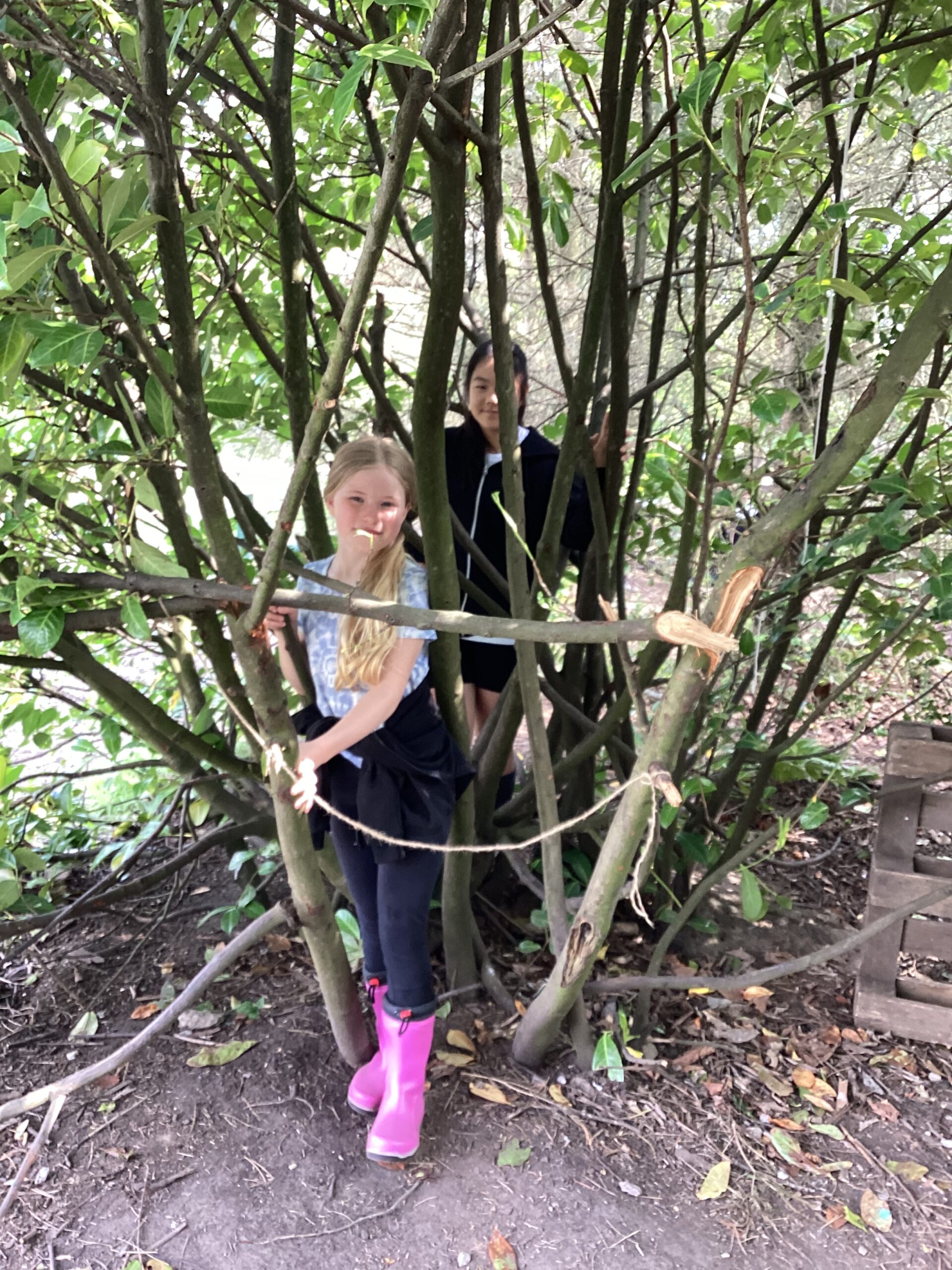 St Luke's Blog Pages