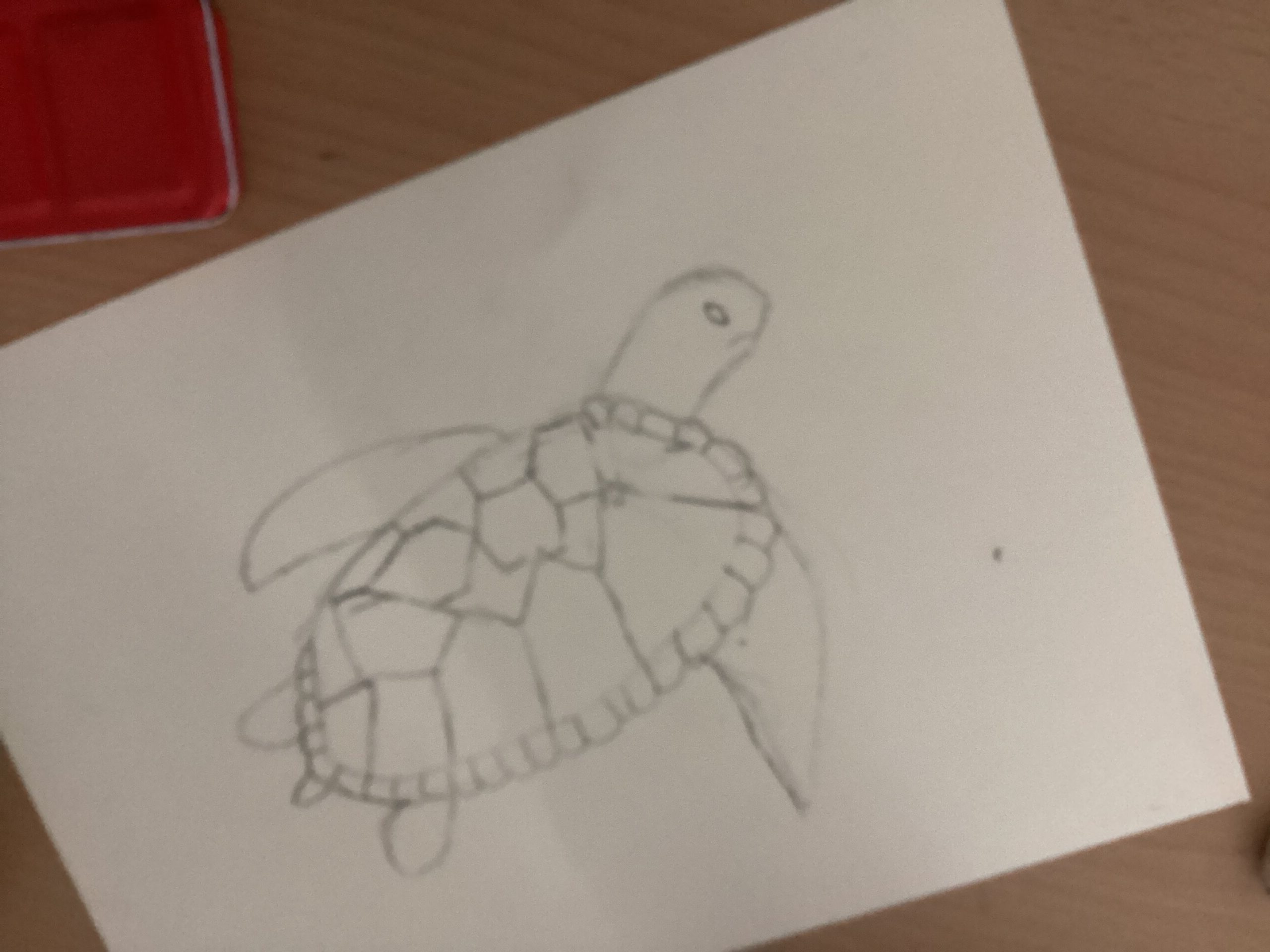 St Luke's Blog Pages