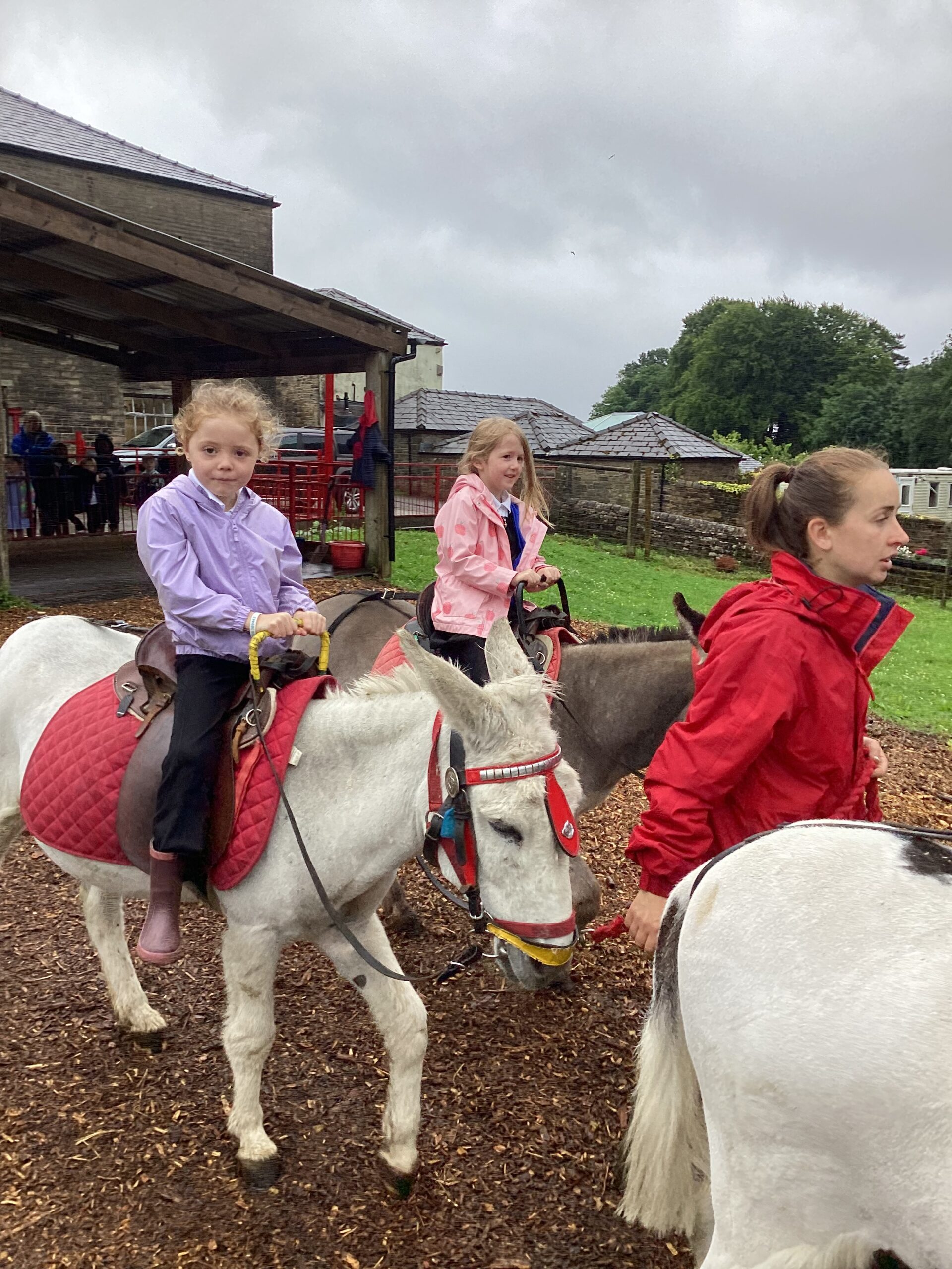 St Luke's Blog Pages