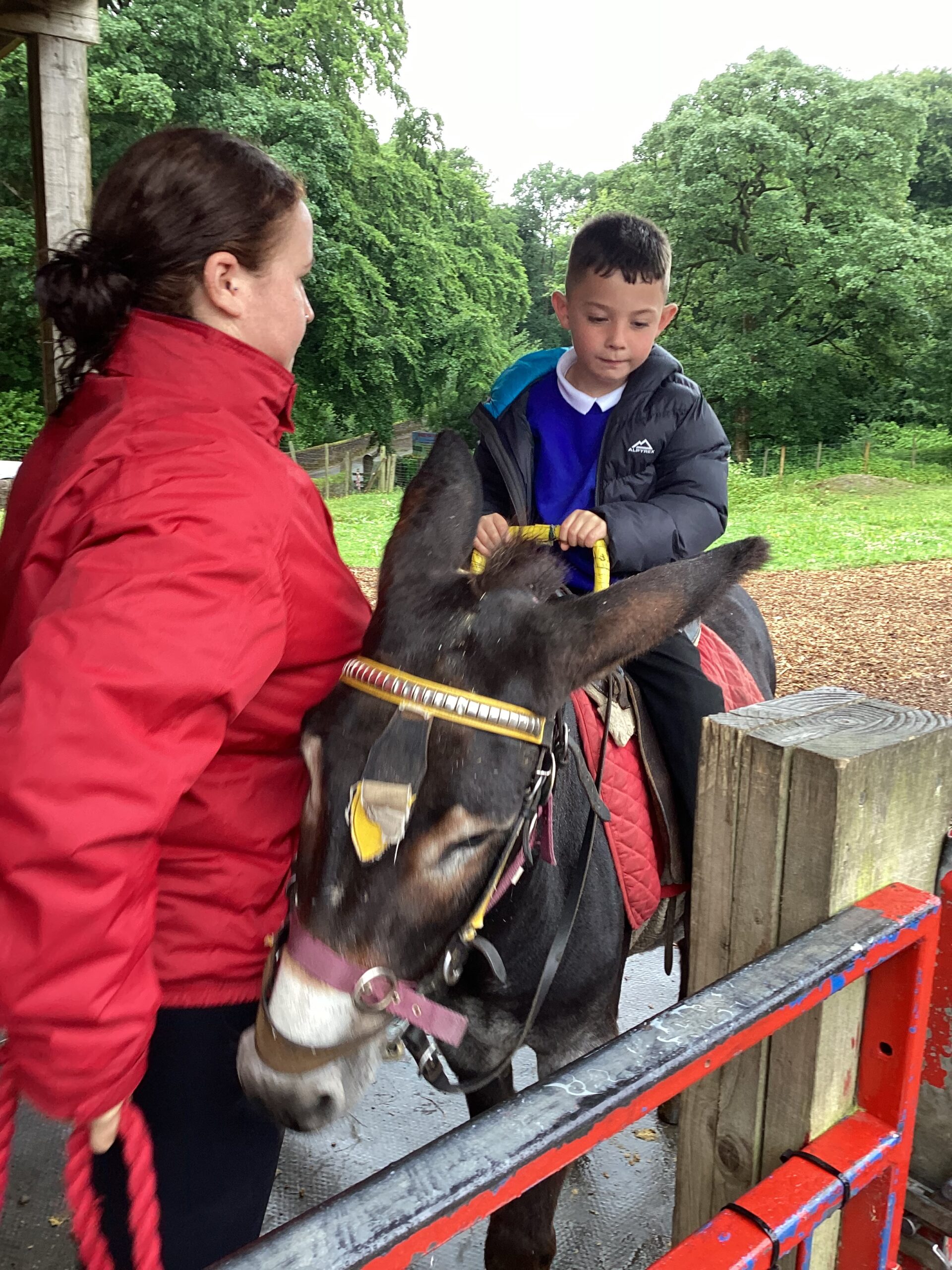 St Luke's Blog Pages