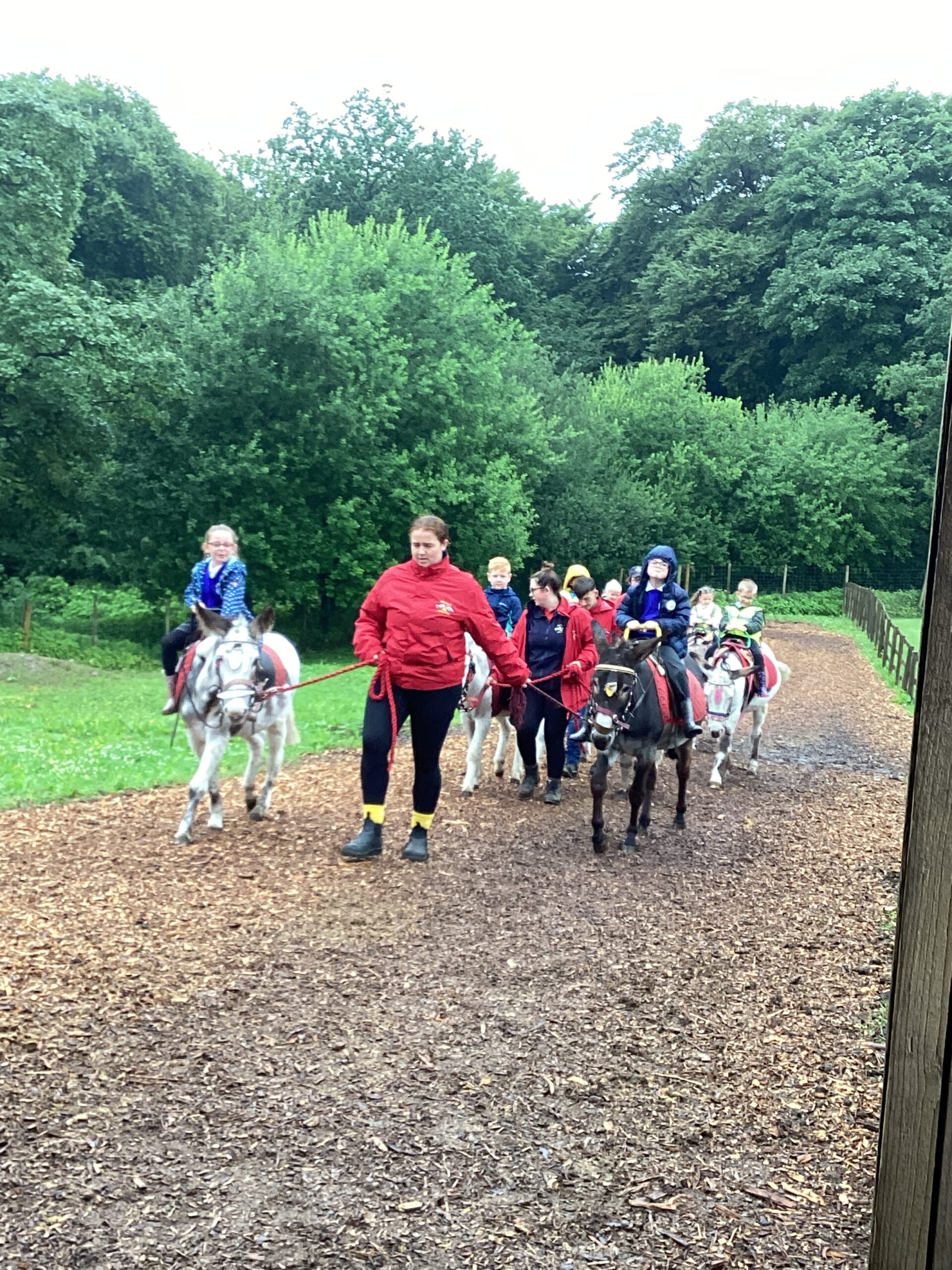 St Luke's Blog Pages