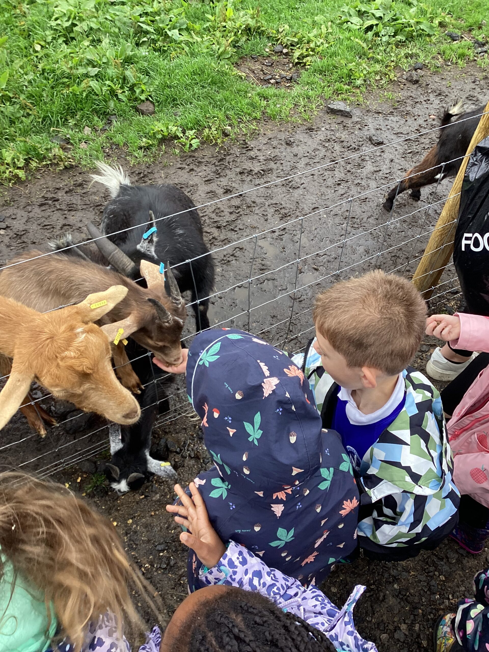 St Luke's Blog Pages