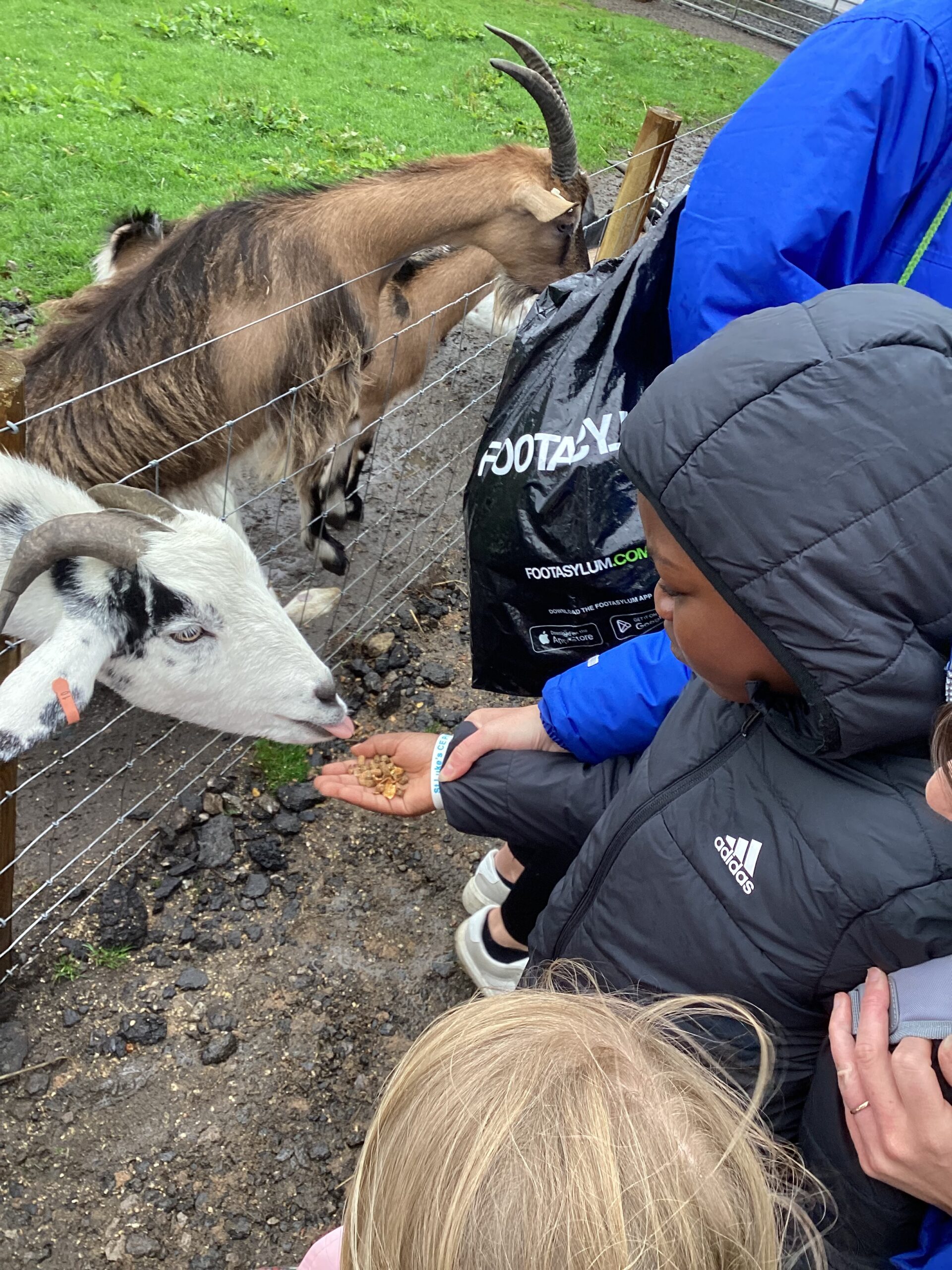 St Luke's Blog Pages