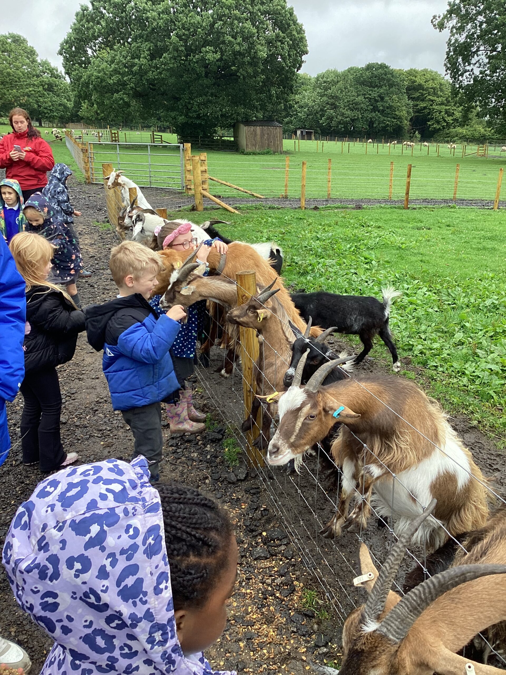 St Luke's Blog Pages