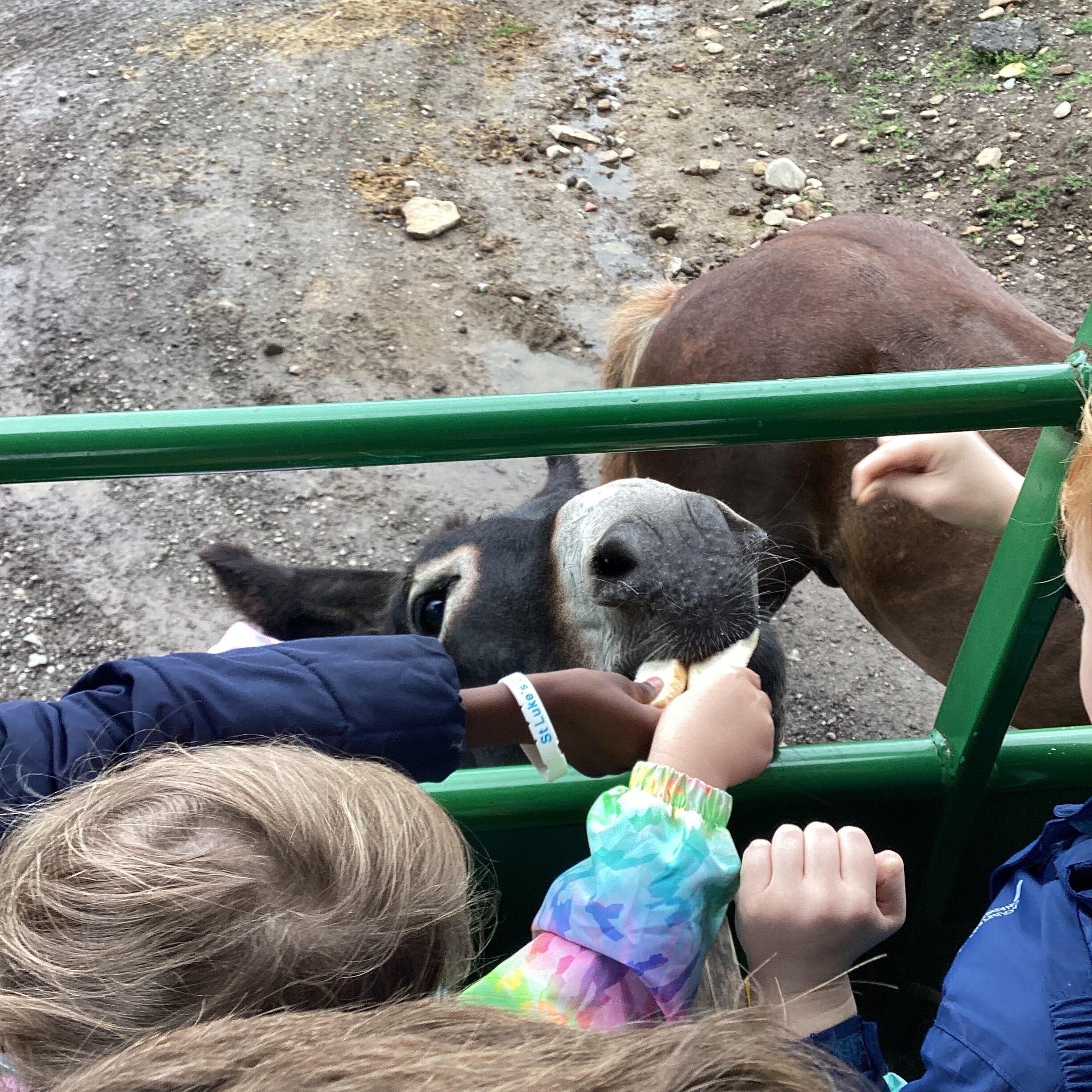 St Luke's Blog Pages