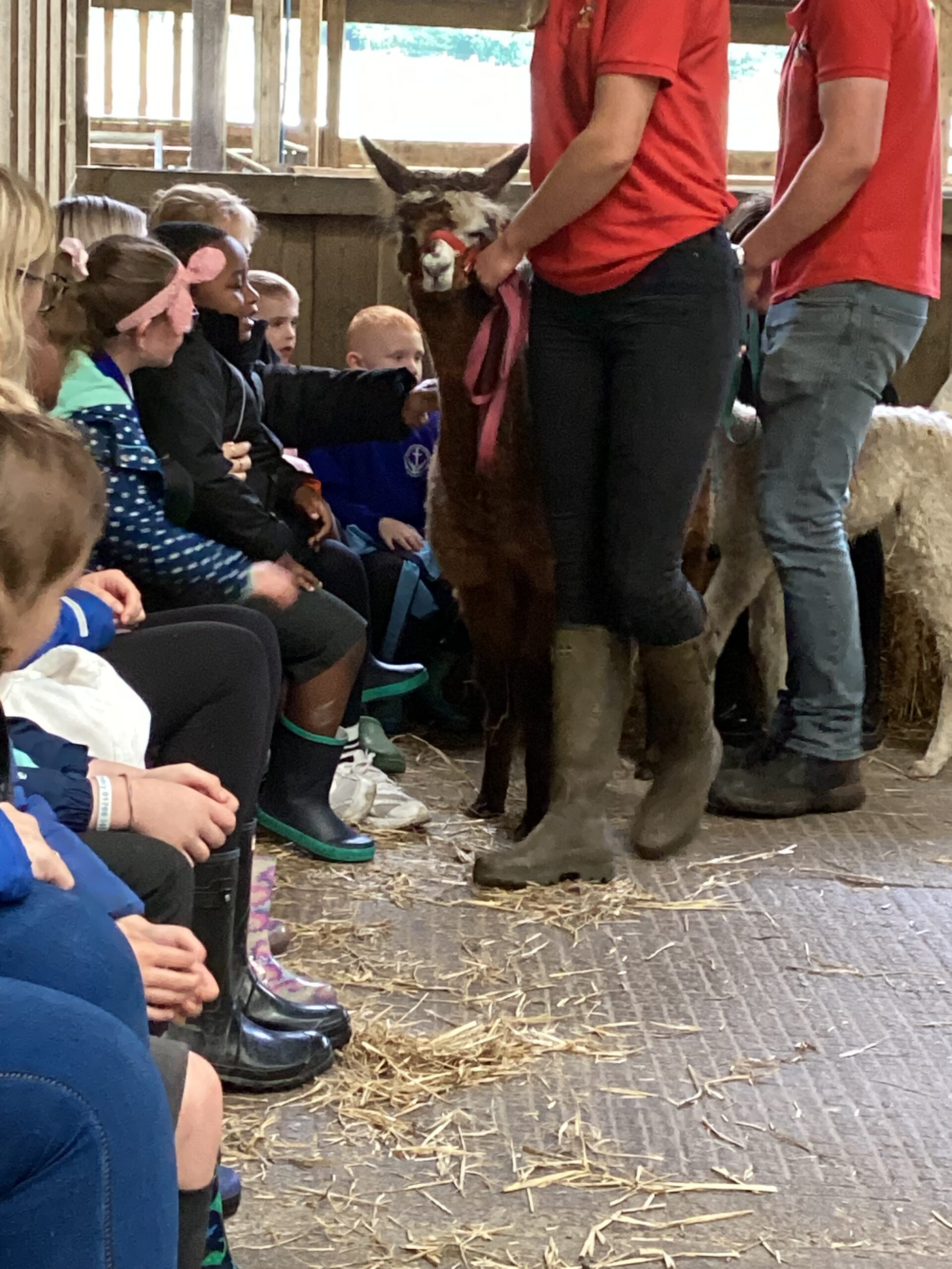 St Luke's Blog Pages