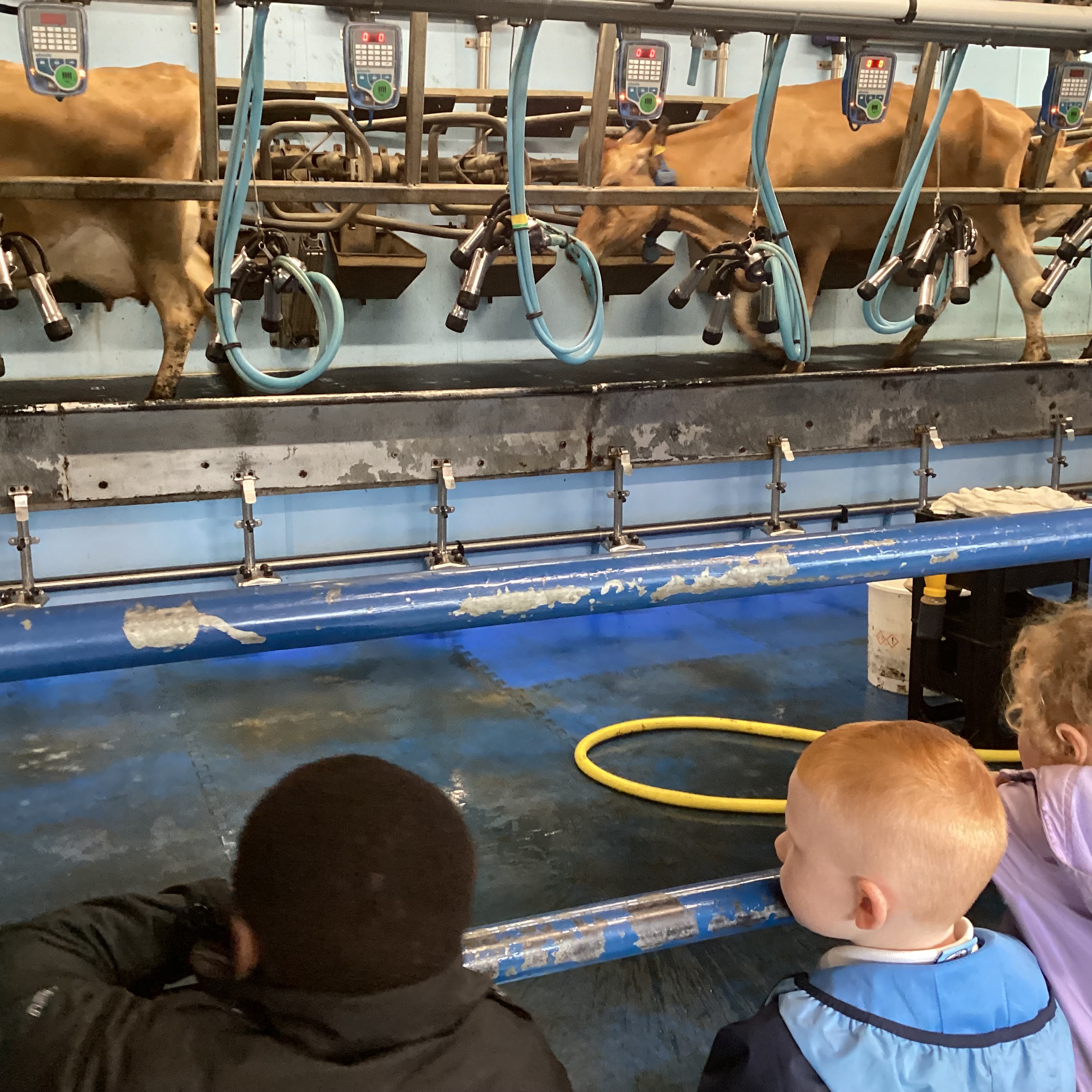 St Luke's Blog Pages