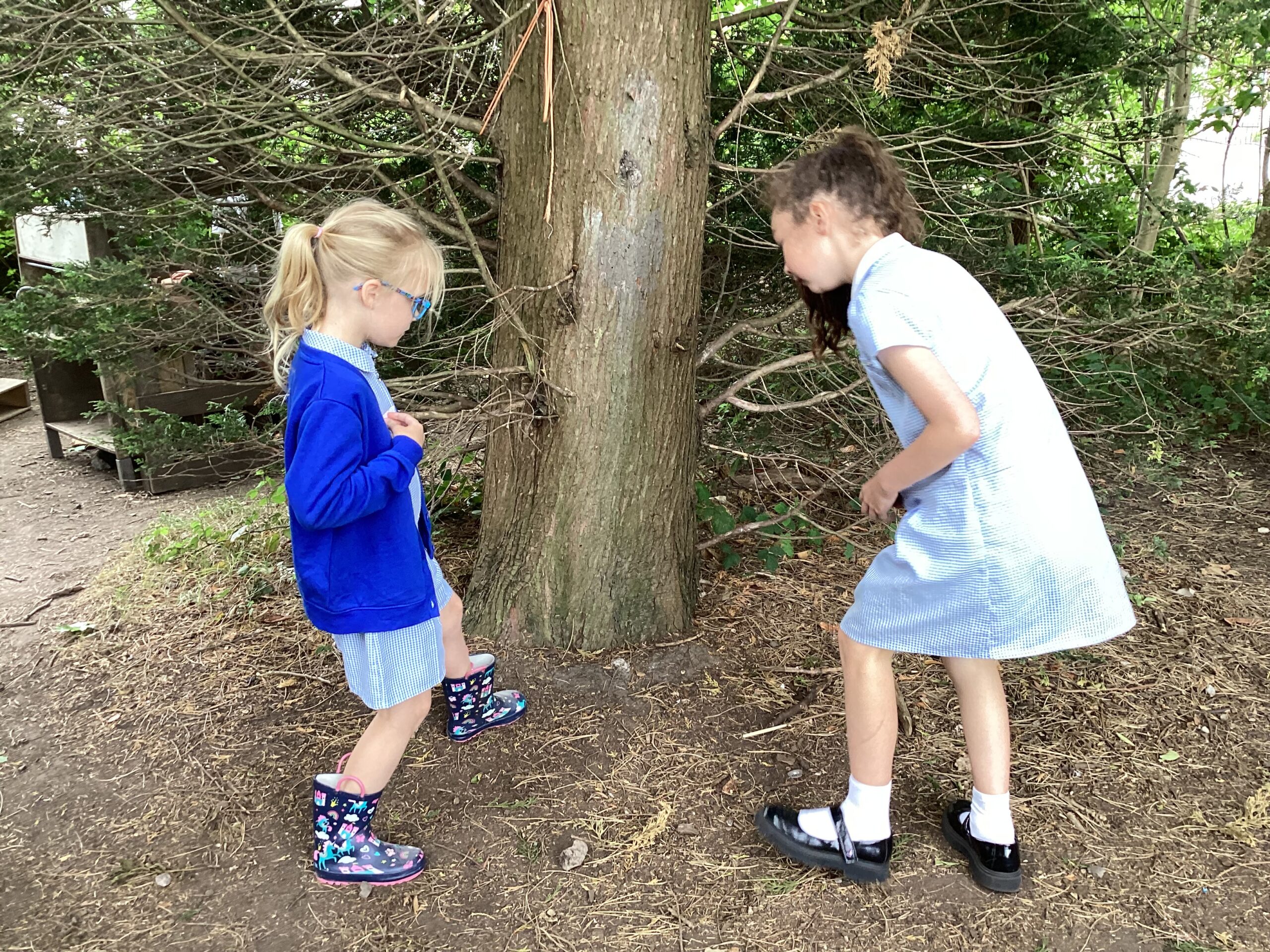 St Luke's Blog Pages