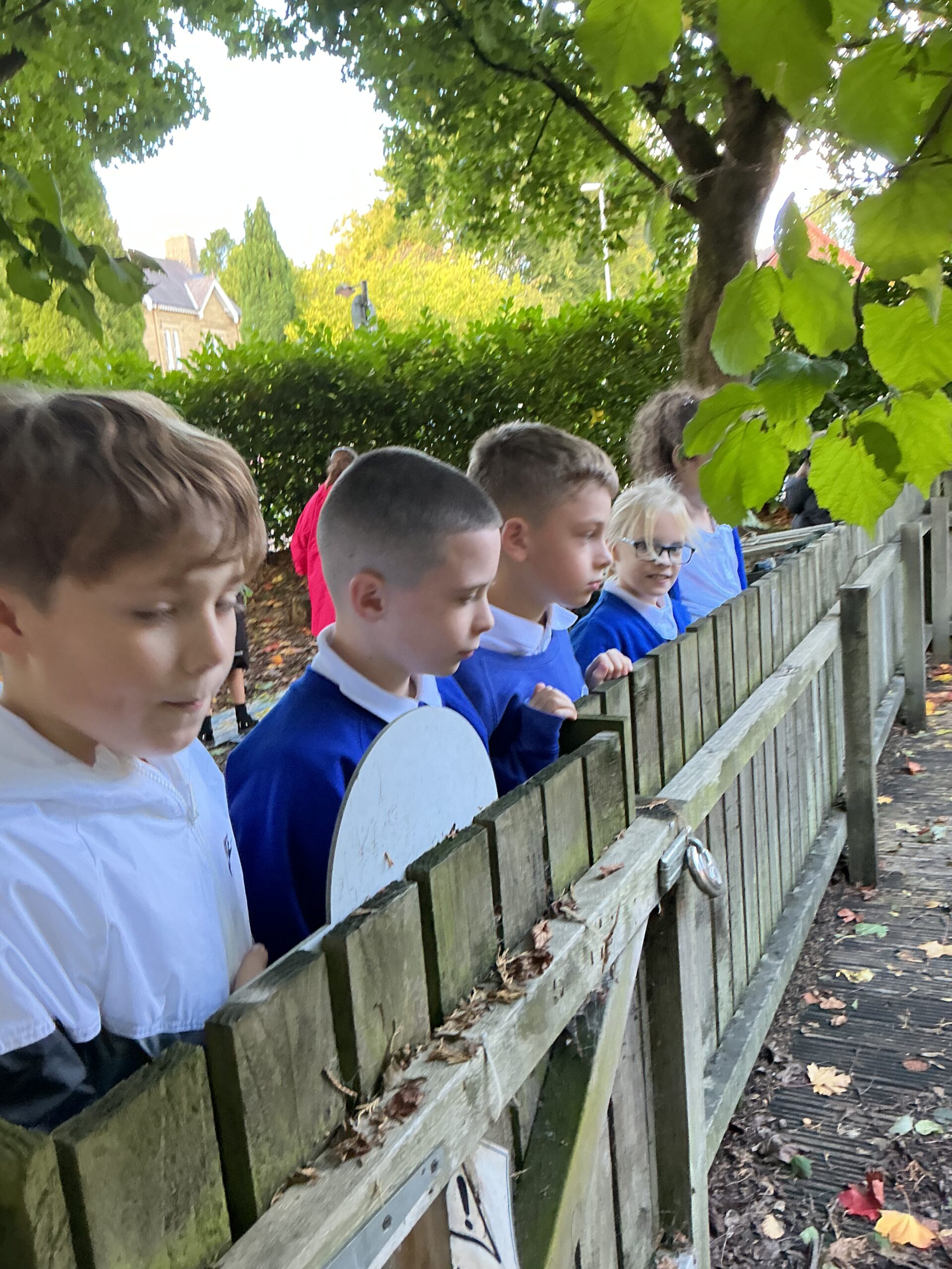 St Luke's Blog Pages