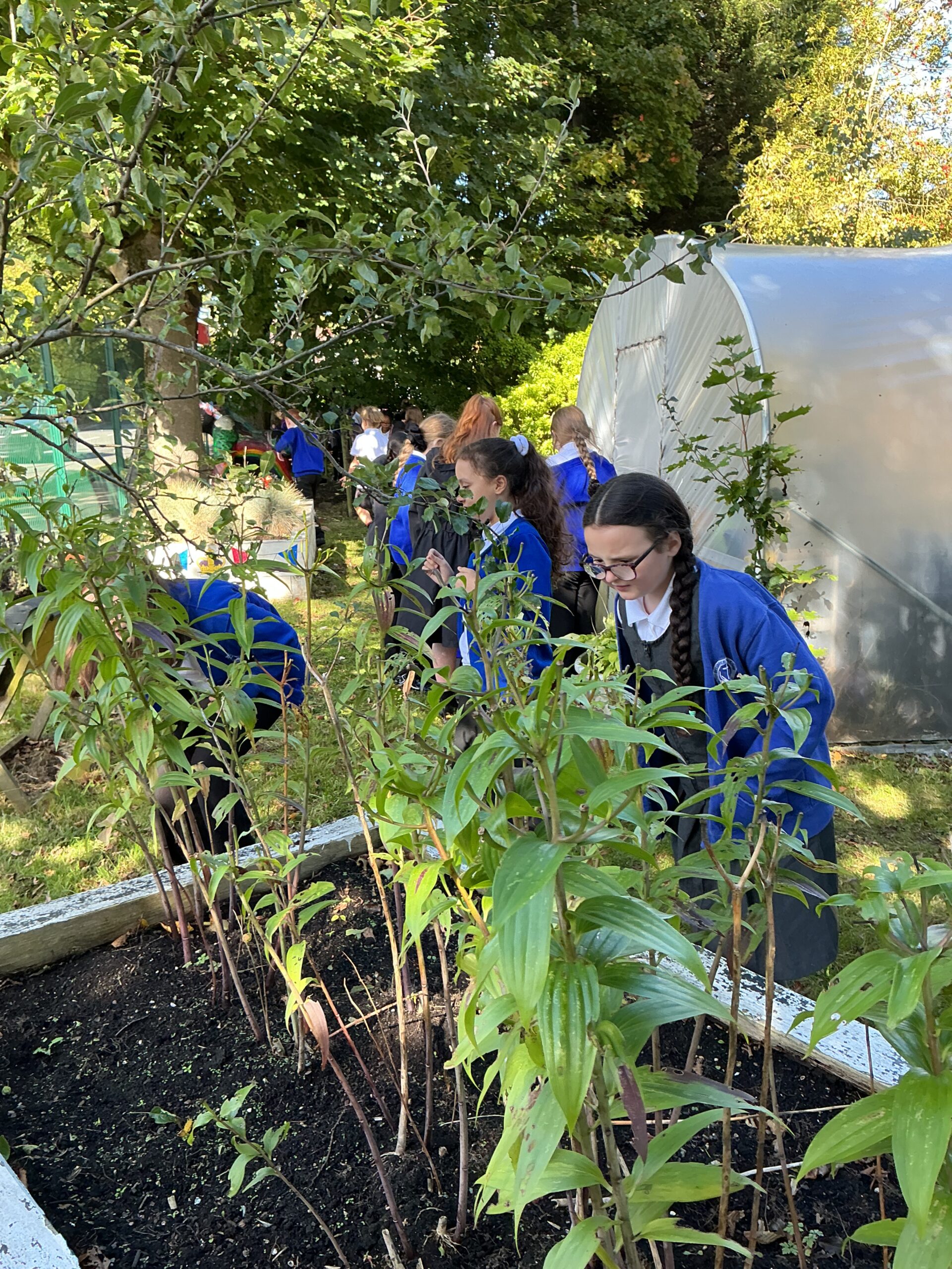 St Luke's Blog Pages