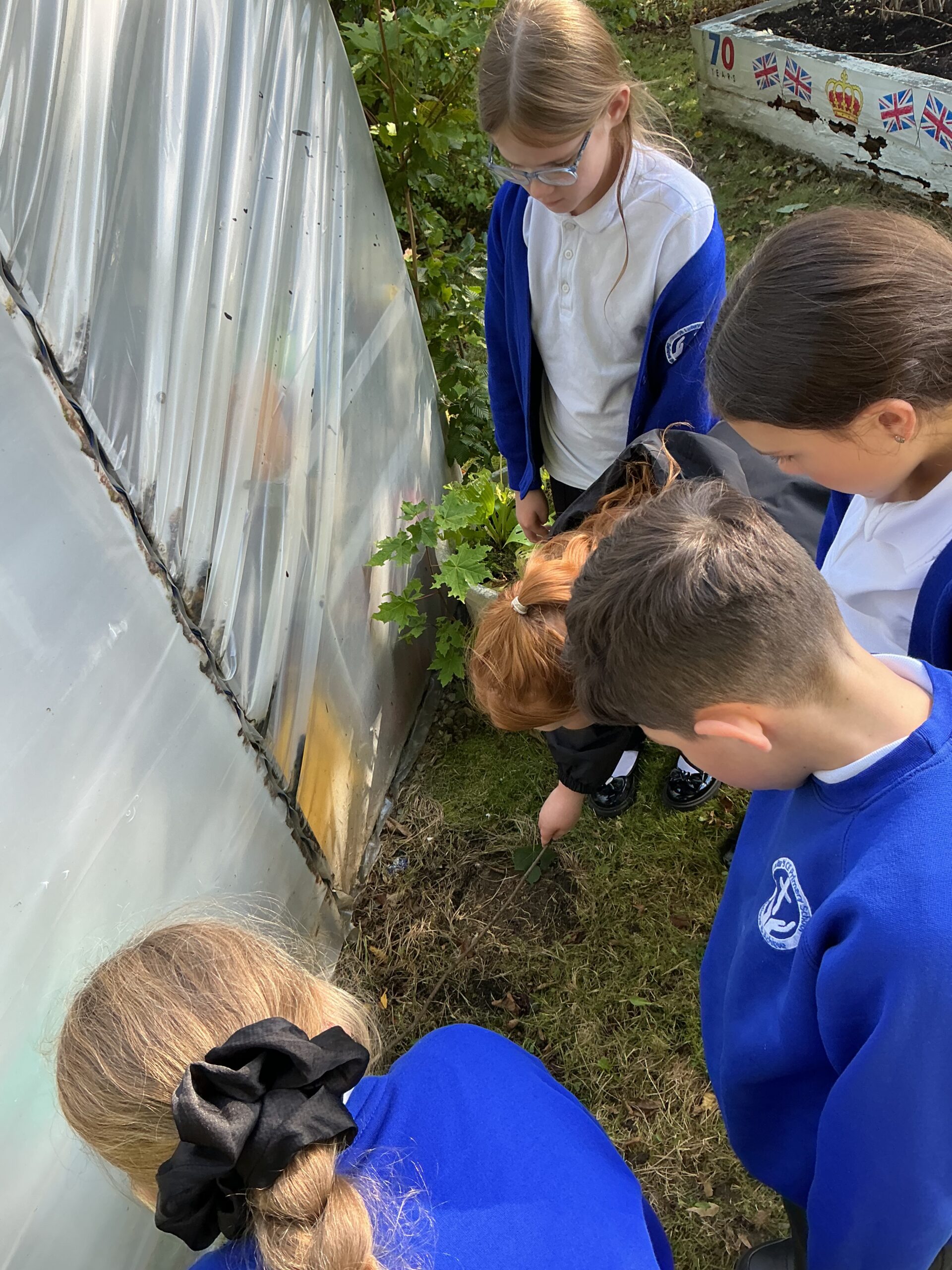 St Luke's Blog Pages