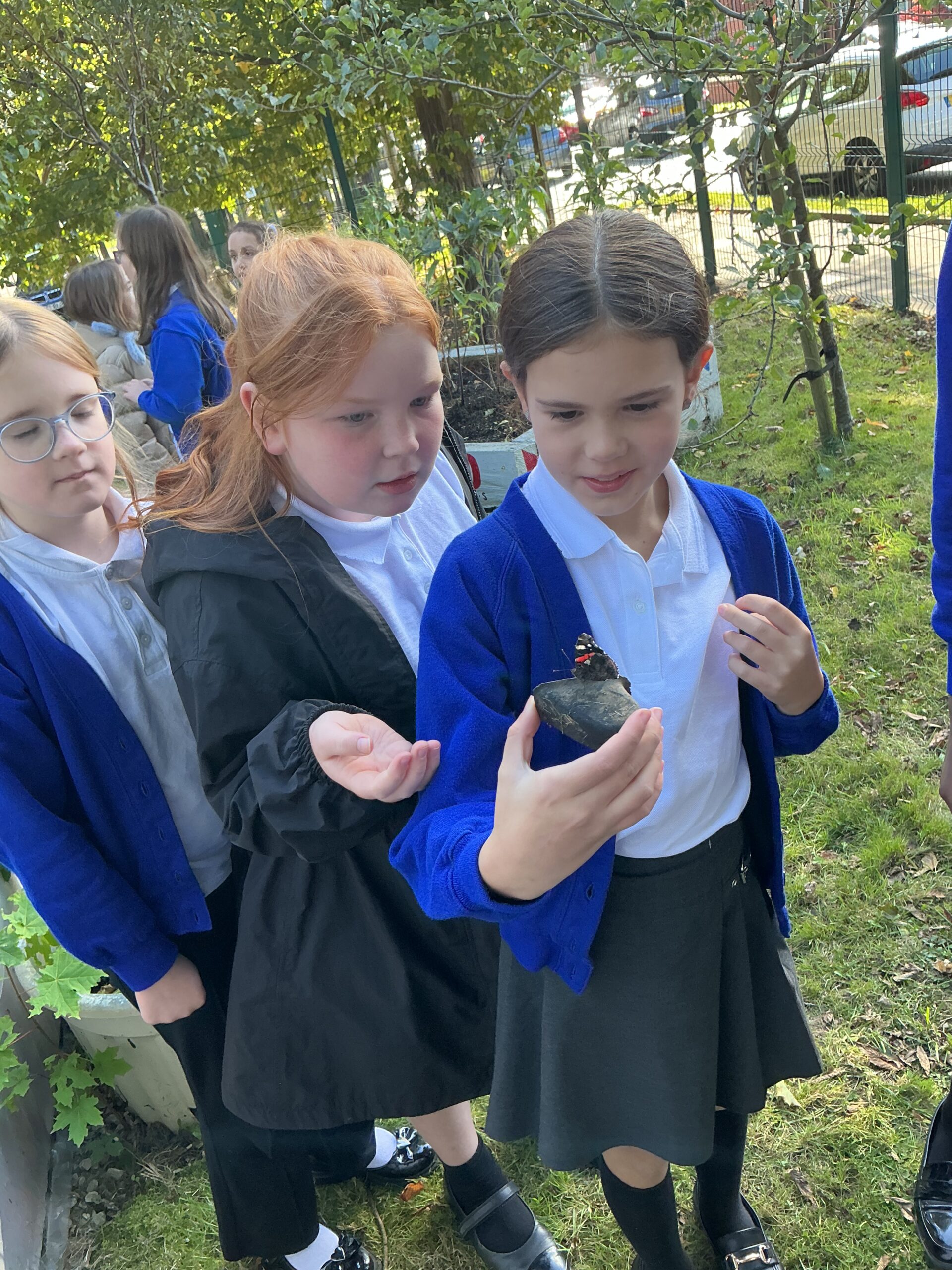 St Luke's Blog Pages