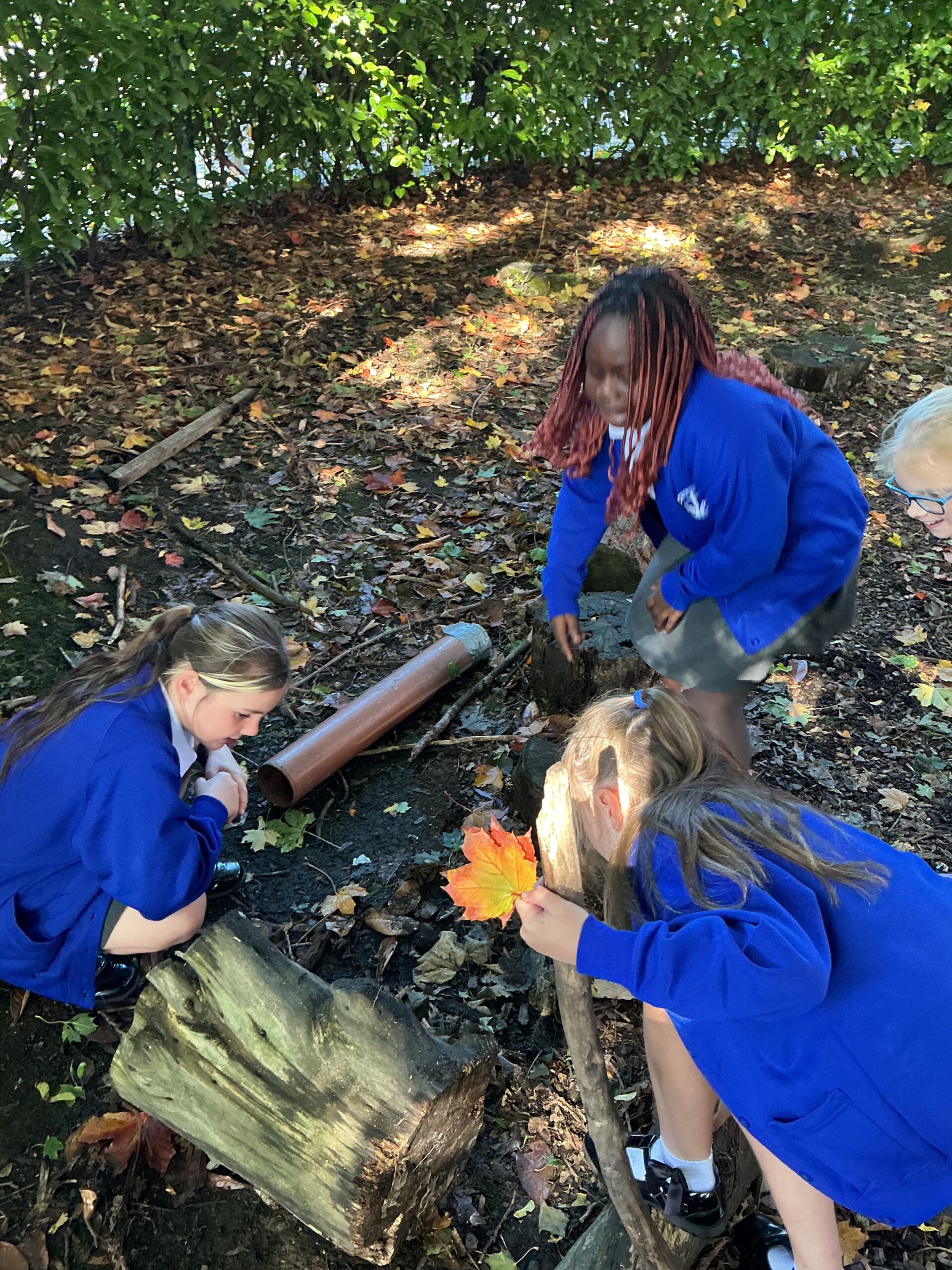 St Luke's Blog Pages