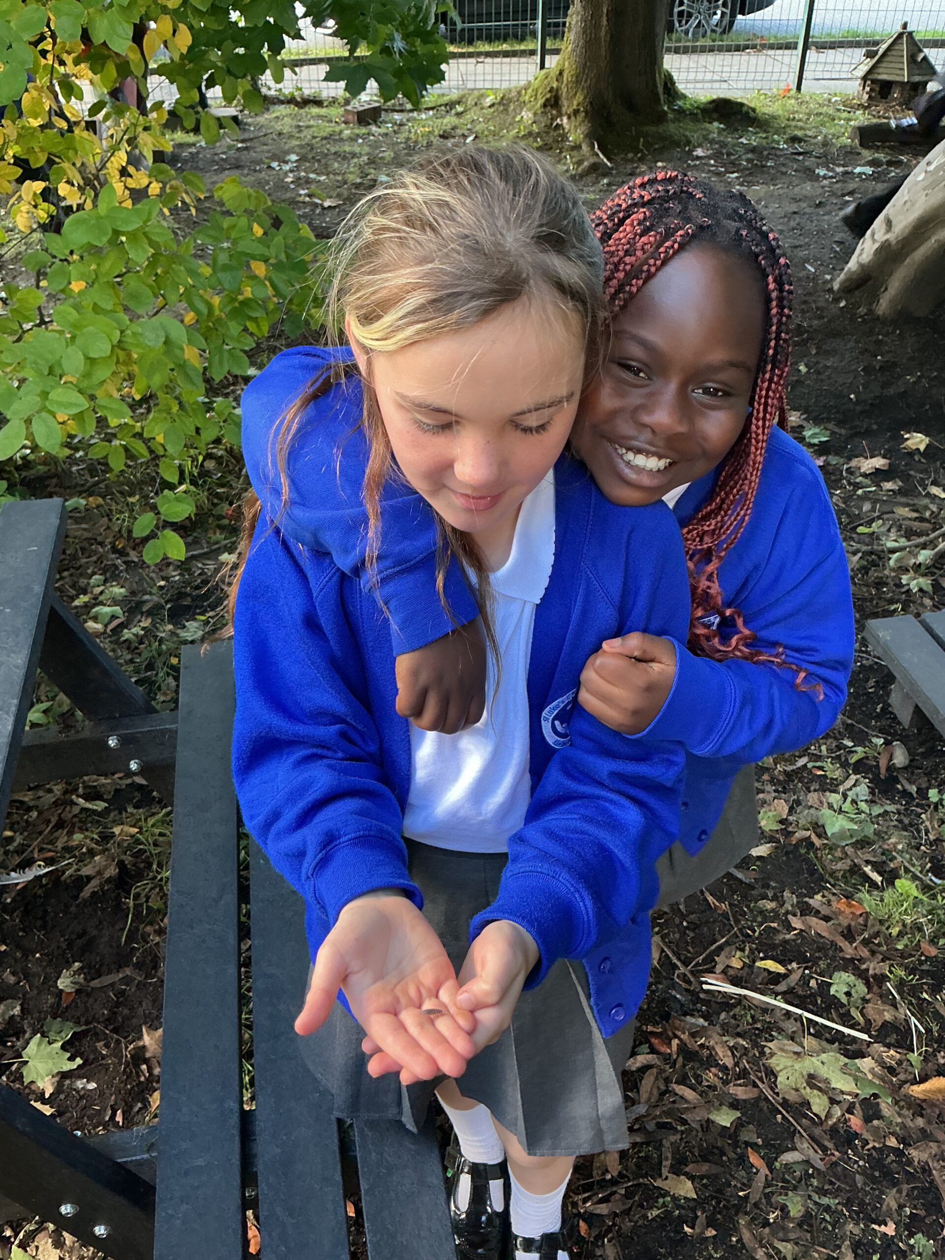 St Luke's Blog Pages