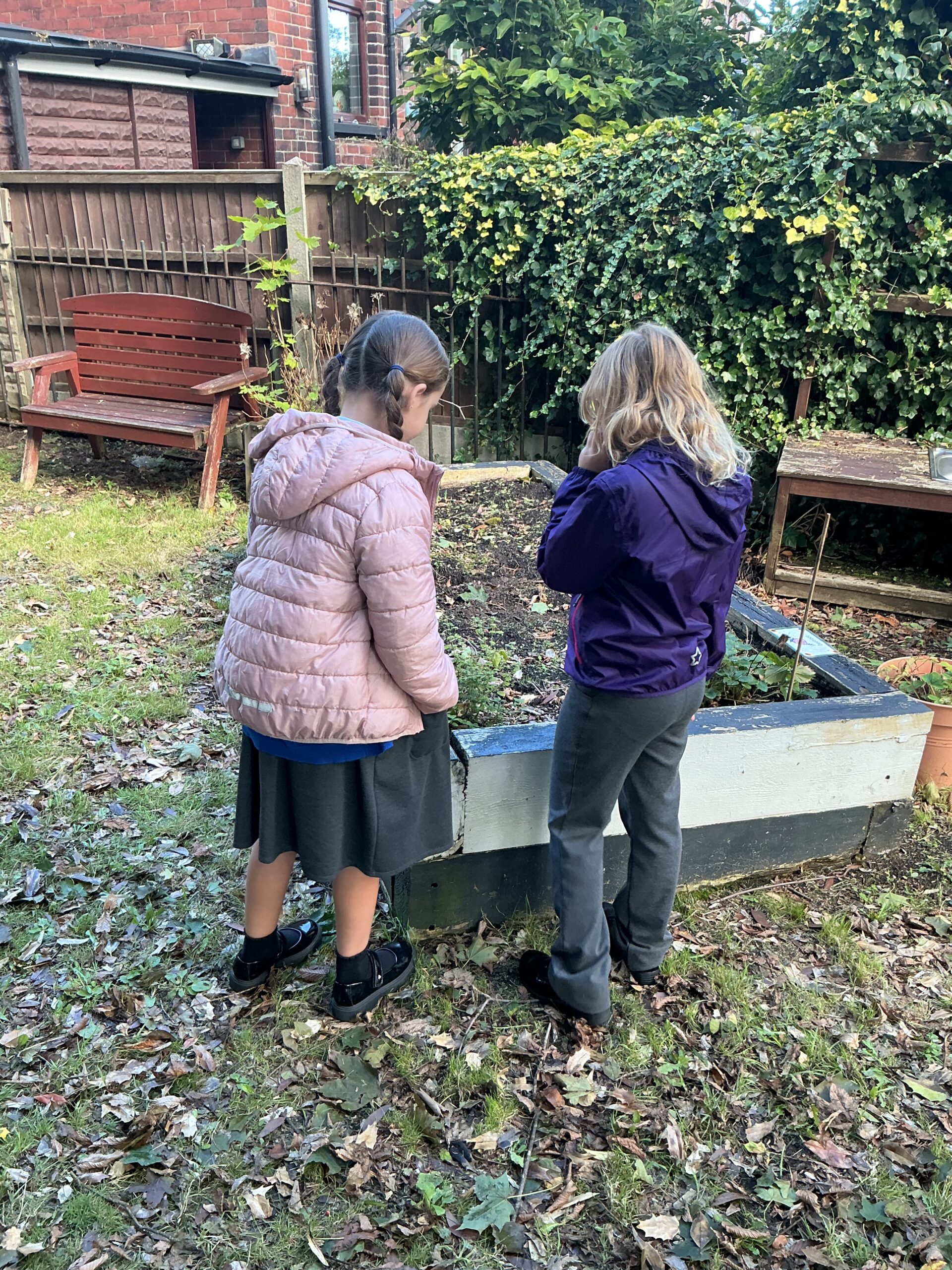 St Luke's Blog Pages
