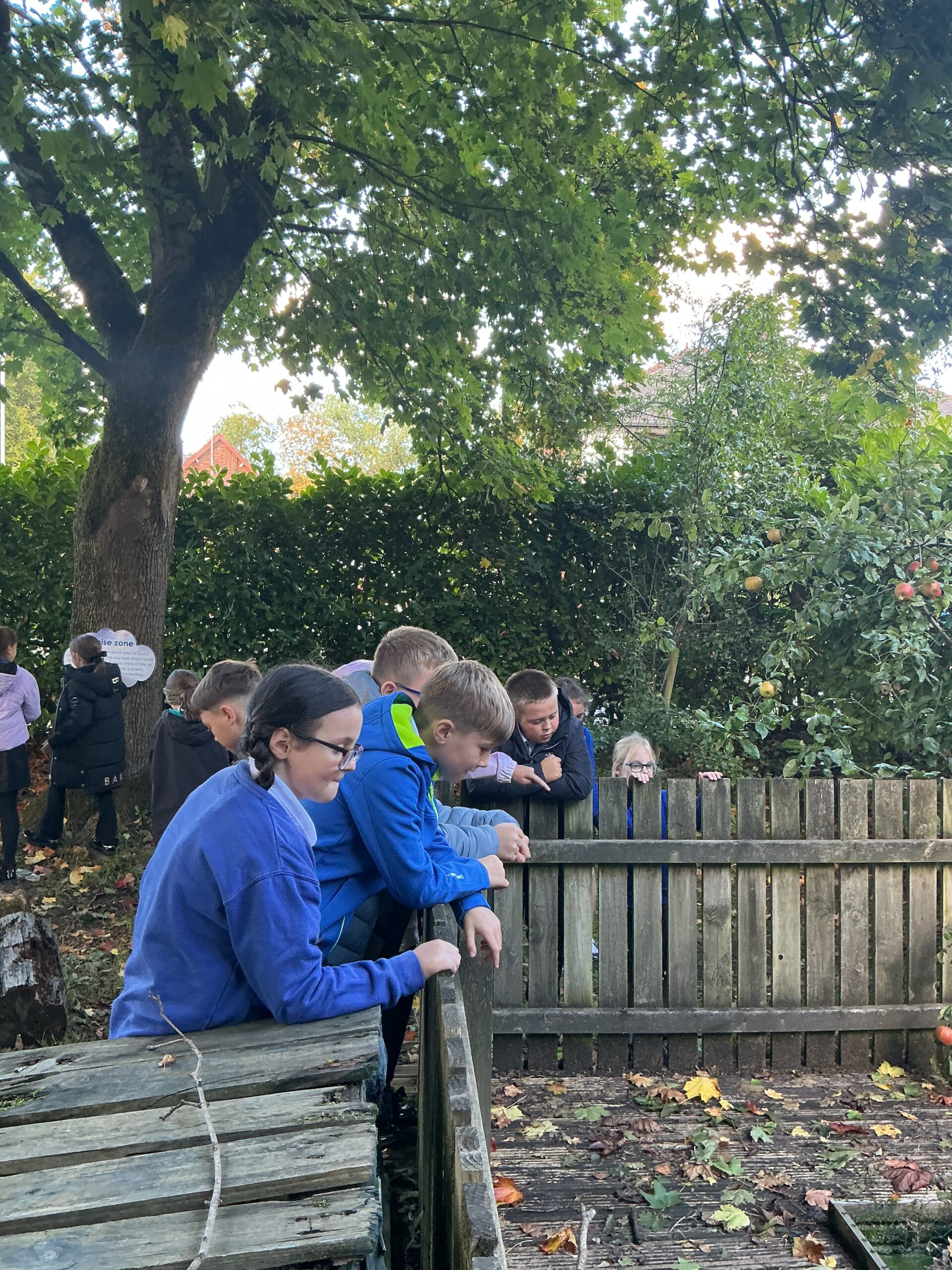 St Luke's Blog Pages