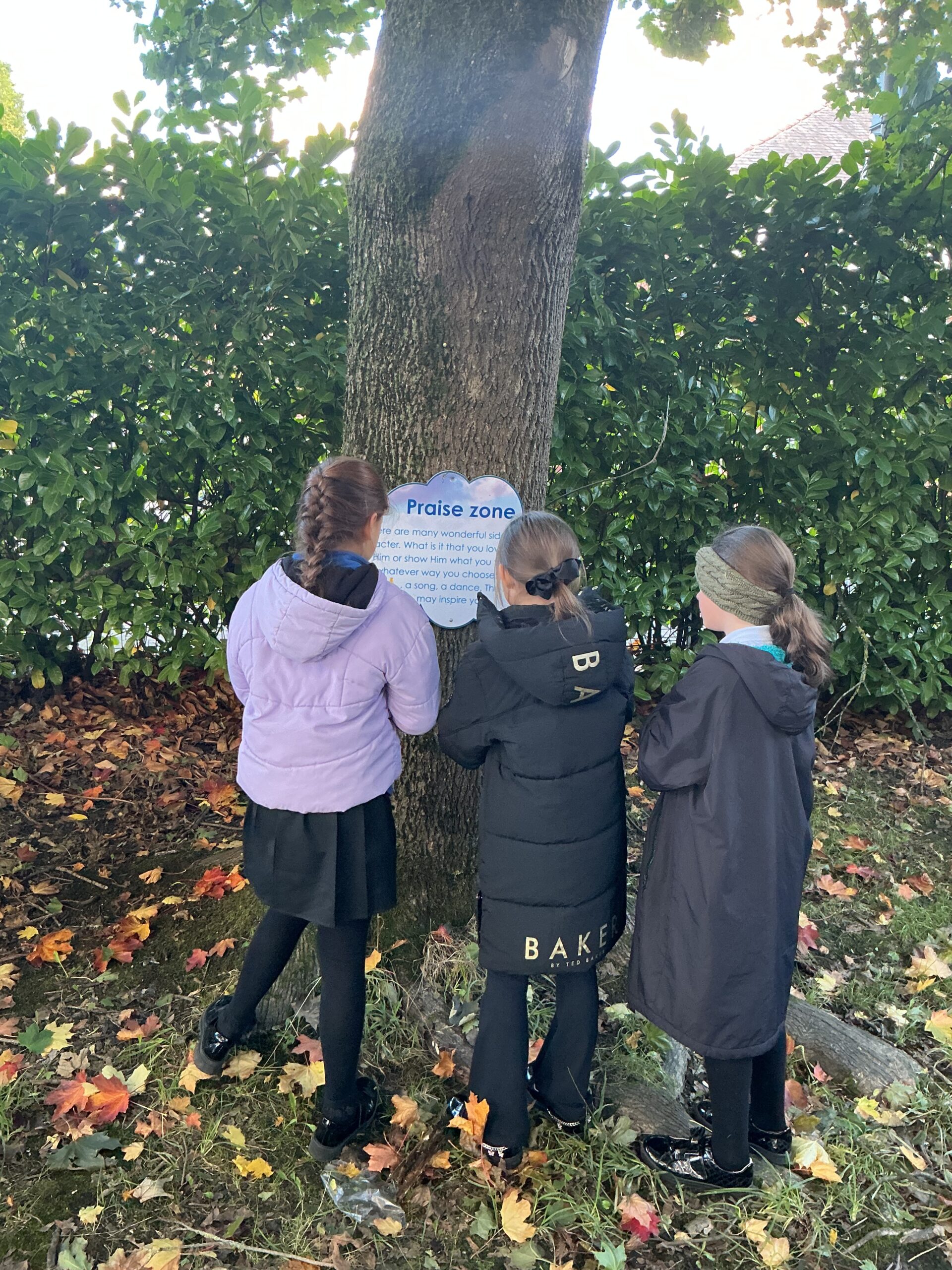 St Luke's Blog Pages