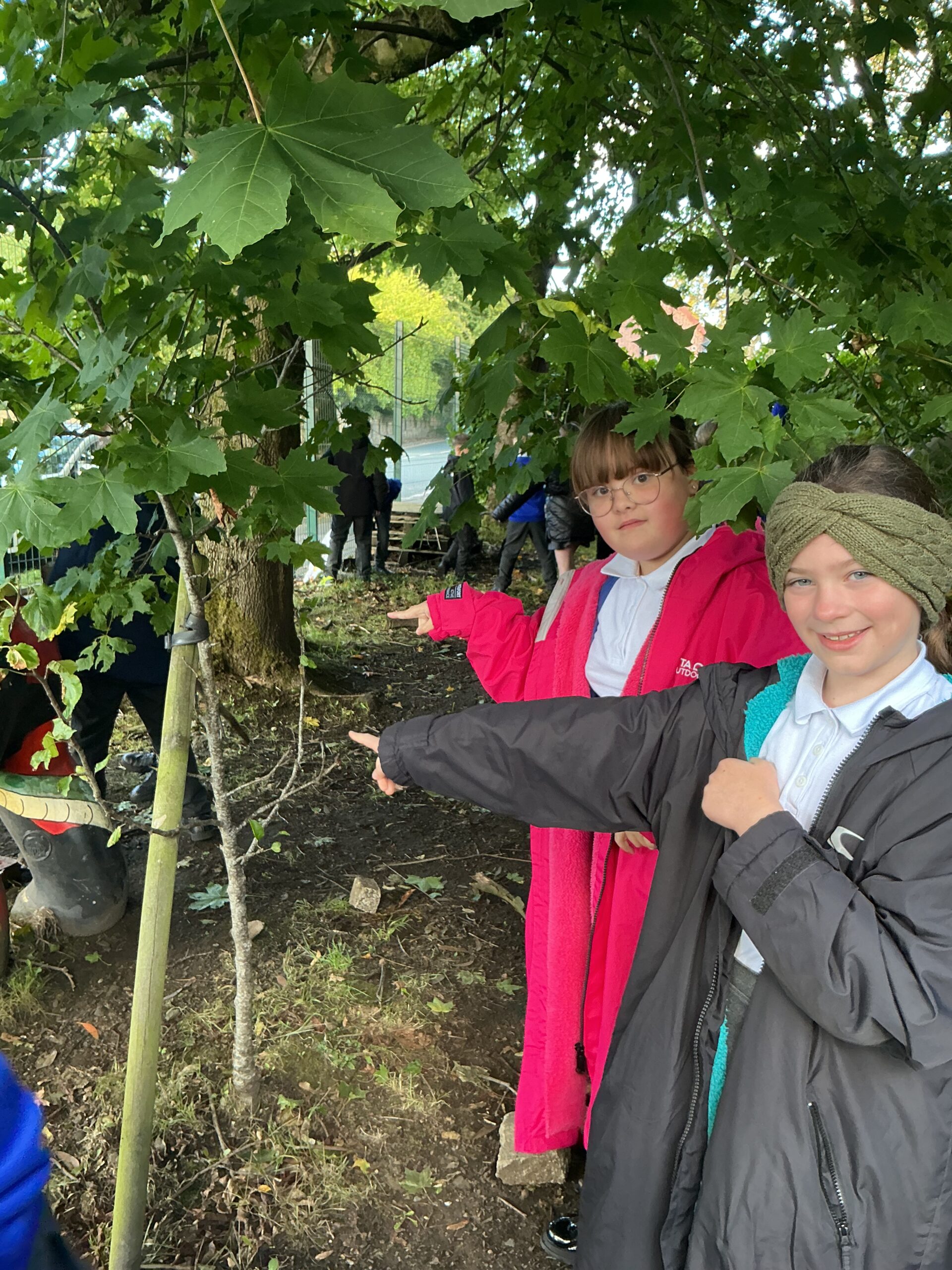 St Luke's Blog Pages