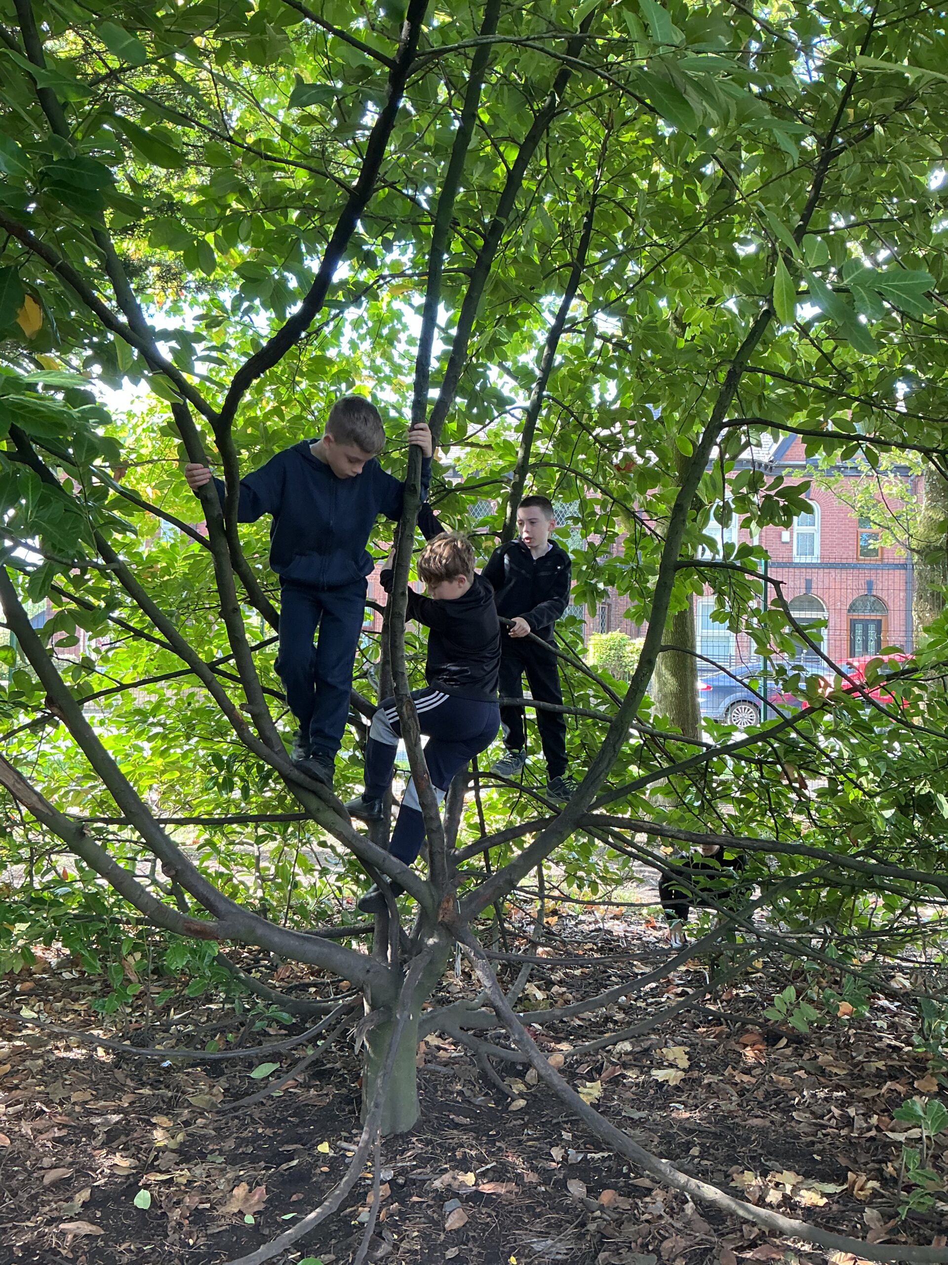 St Luke's Blog Pages