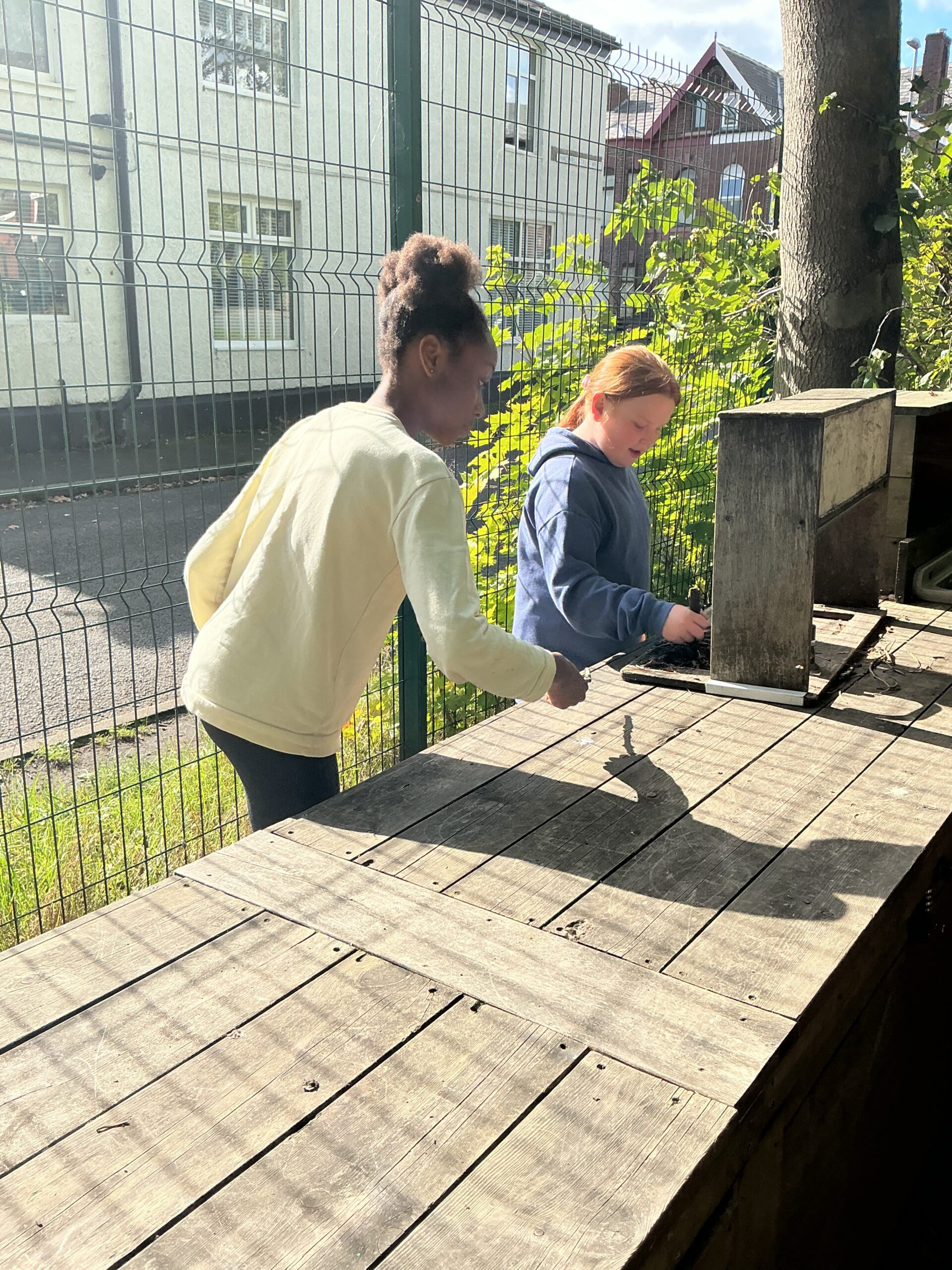 St Luke's Blog Pages