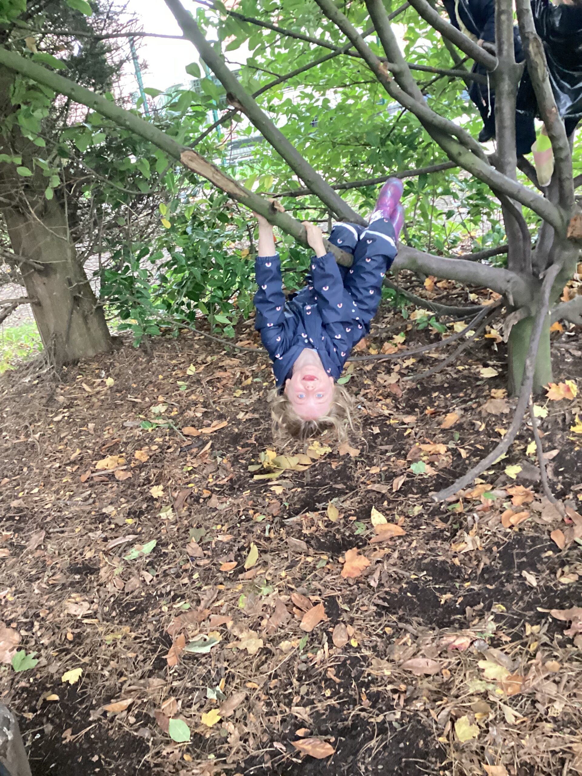 St Luke's Blog Pages