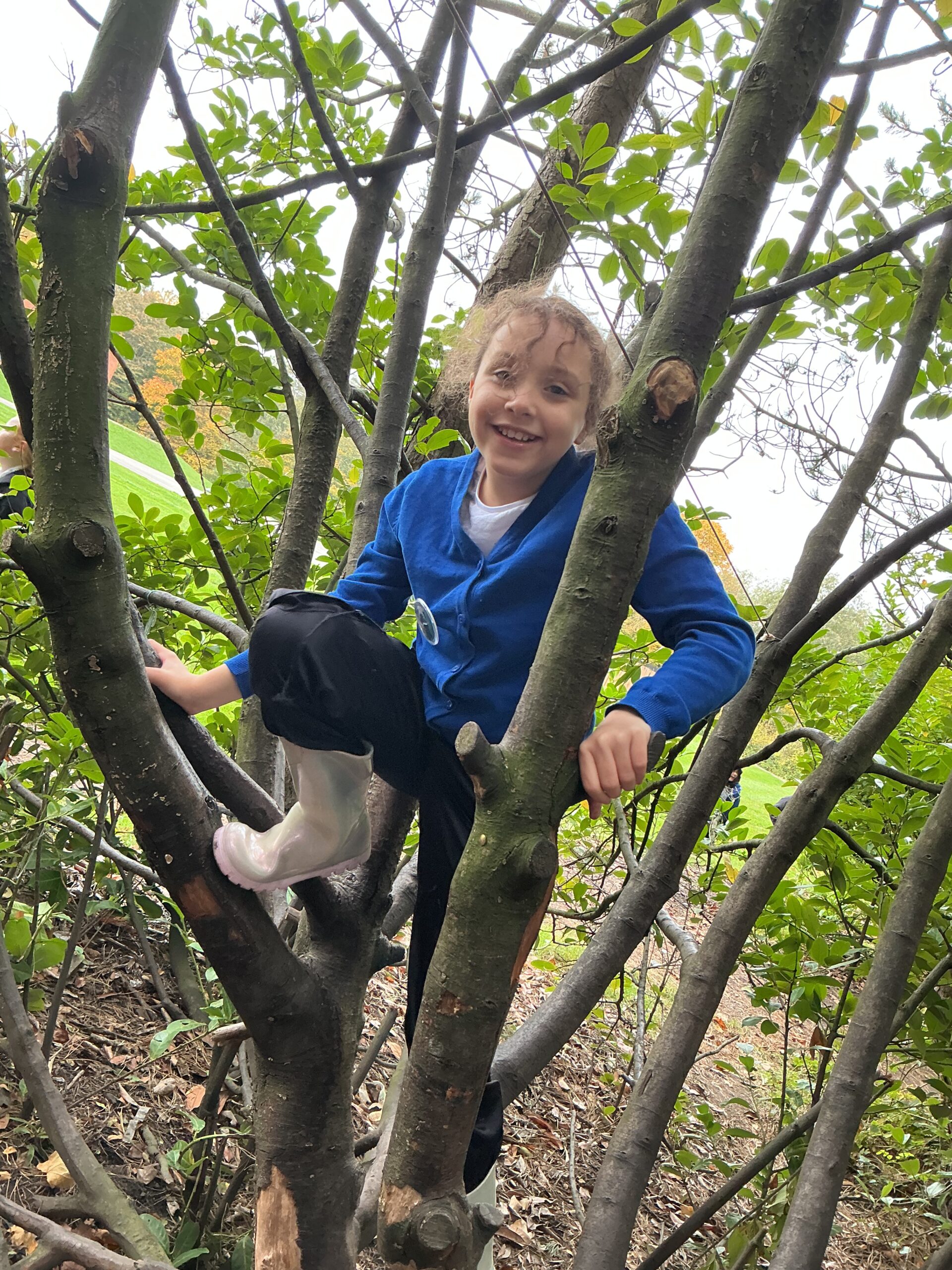 St Luke's Blog Pages