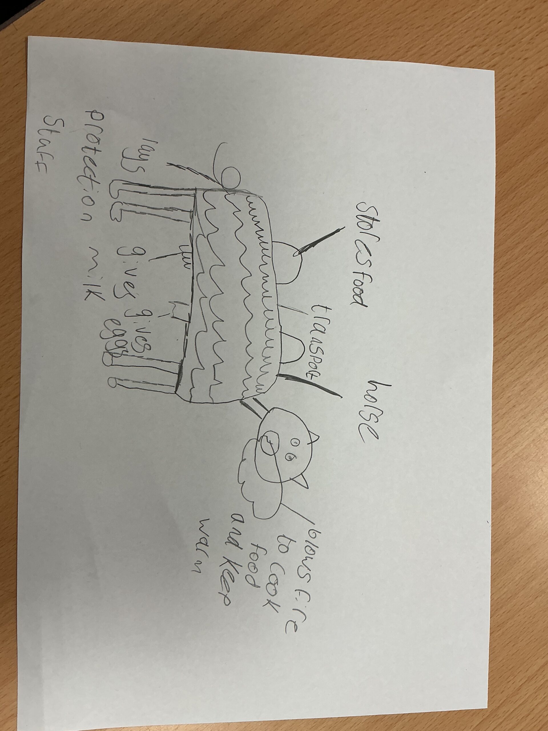 St Luke's Blog Pages