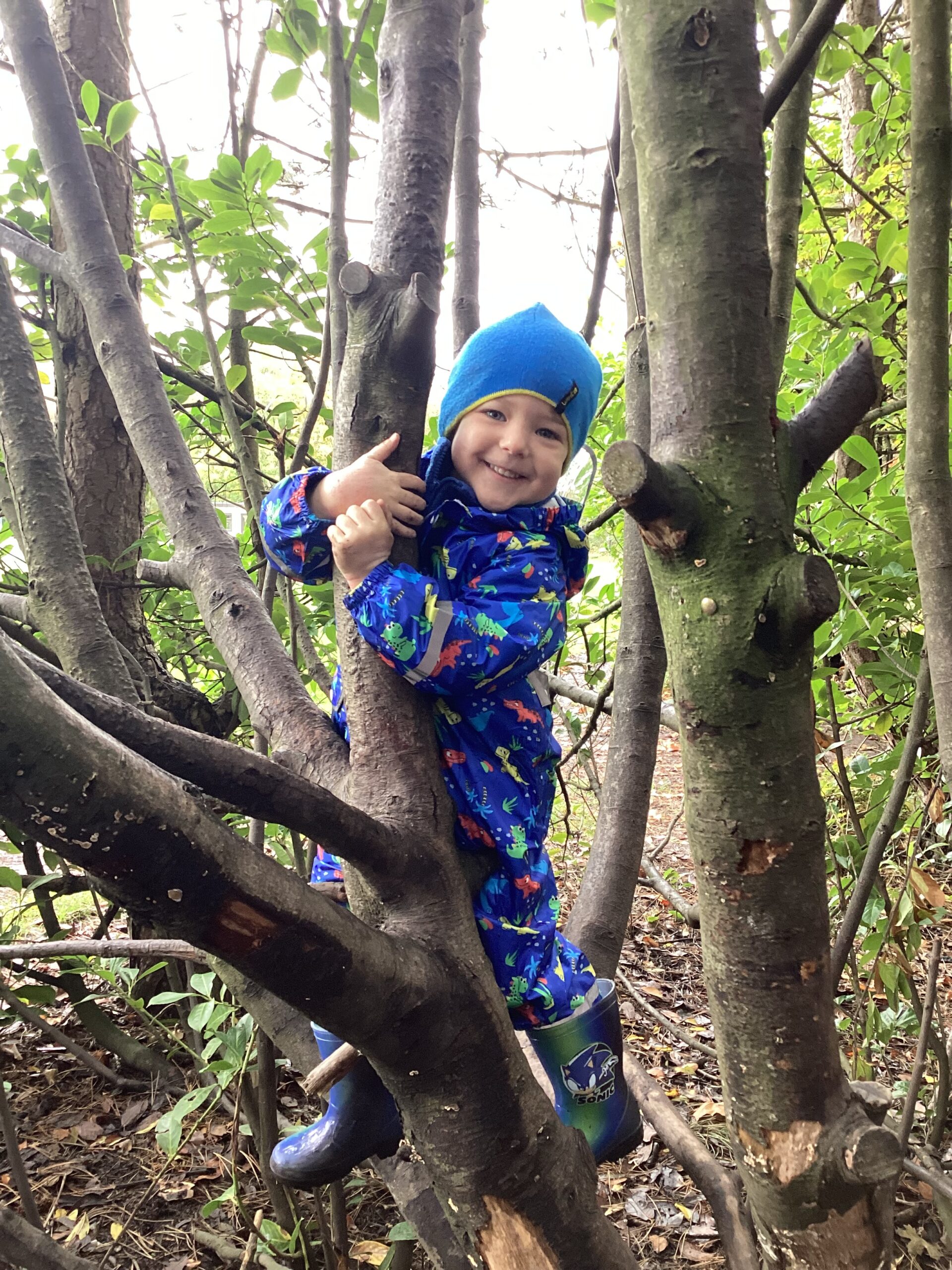 St Luke's Blog Pages