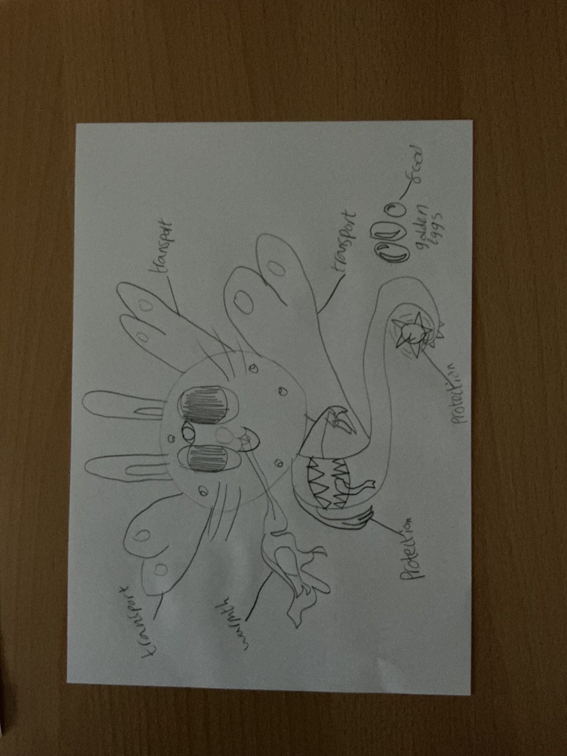 St Luke's Blog Pages