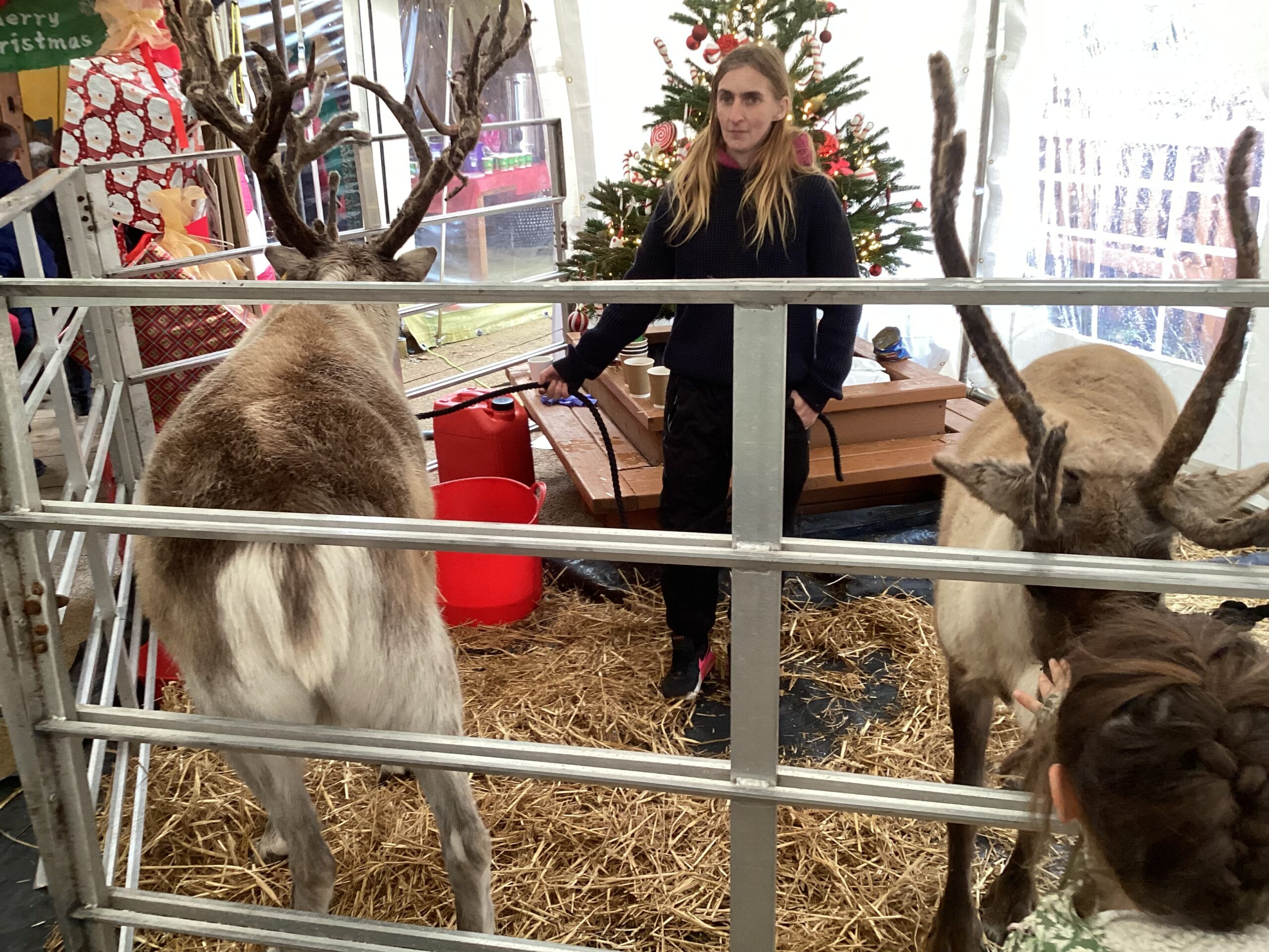 St Luke's Blog Pages