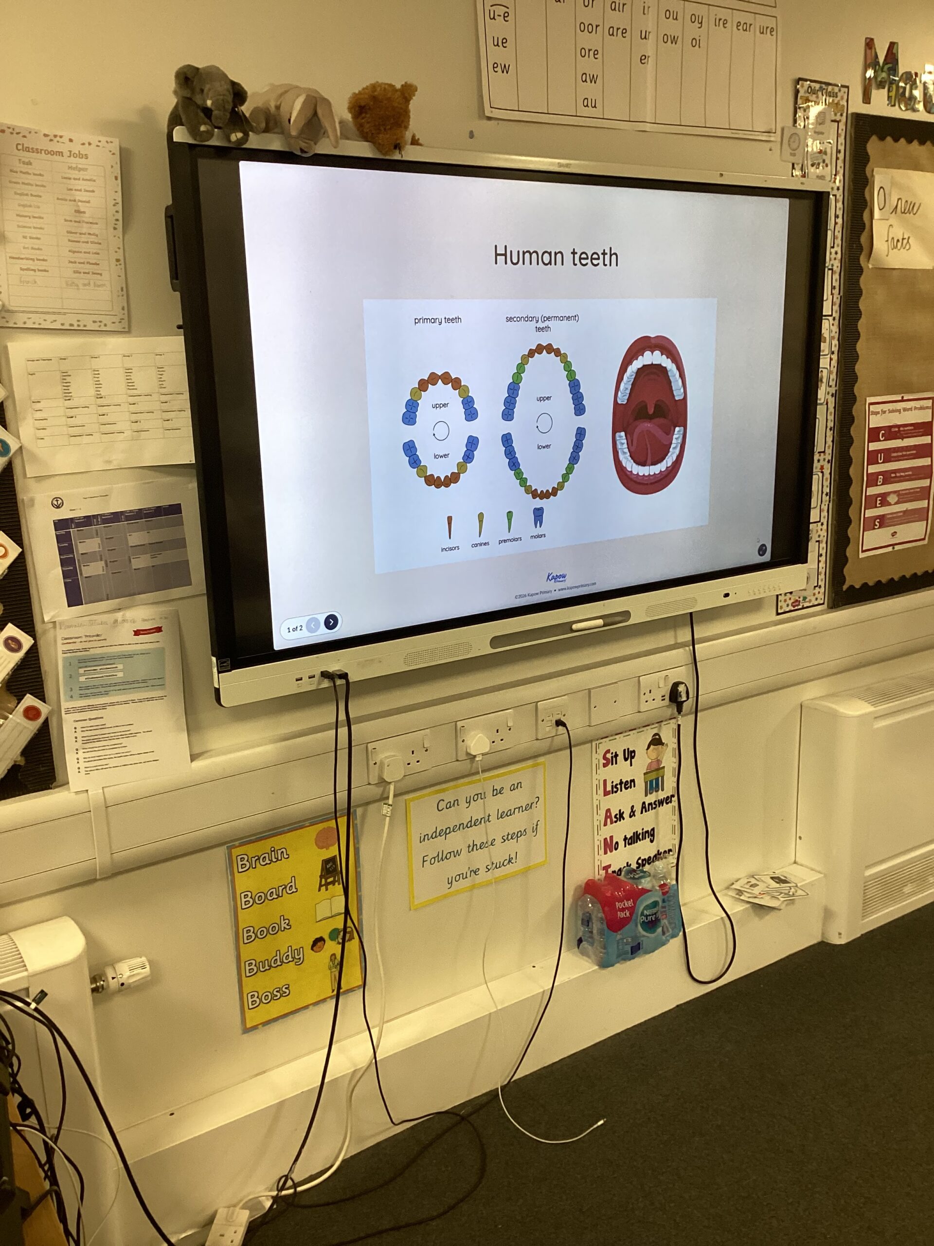 St Luke's Blog Pages