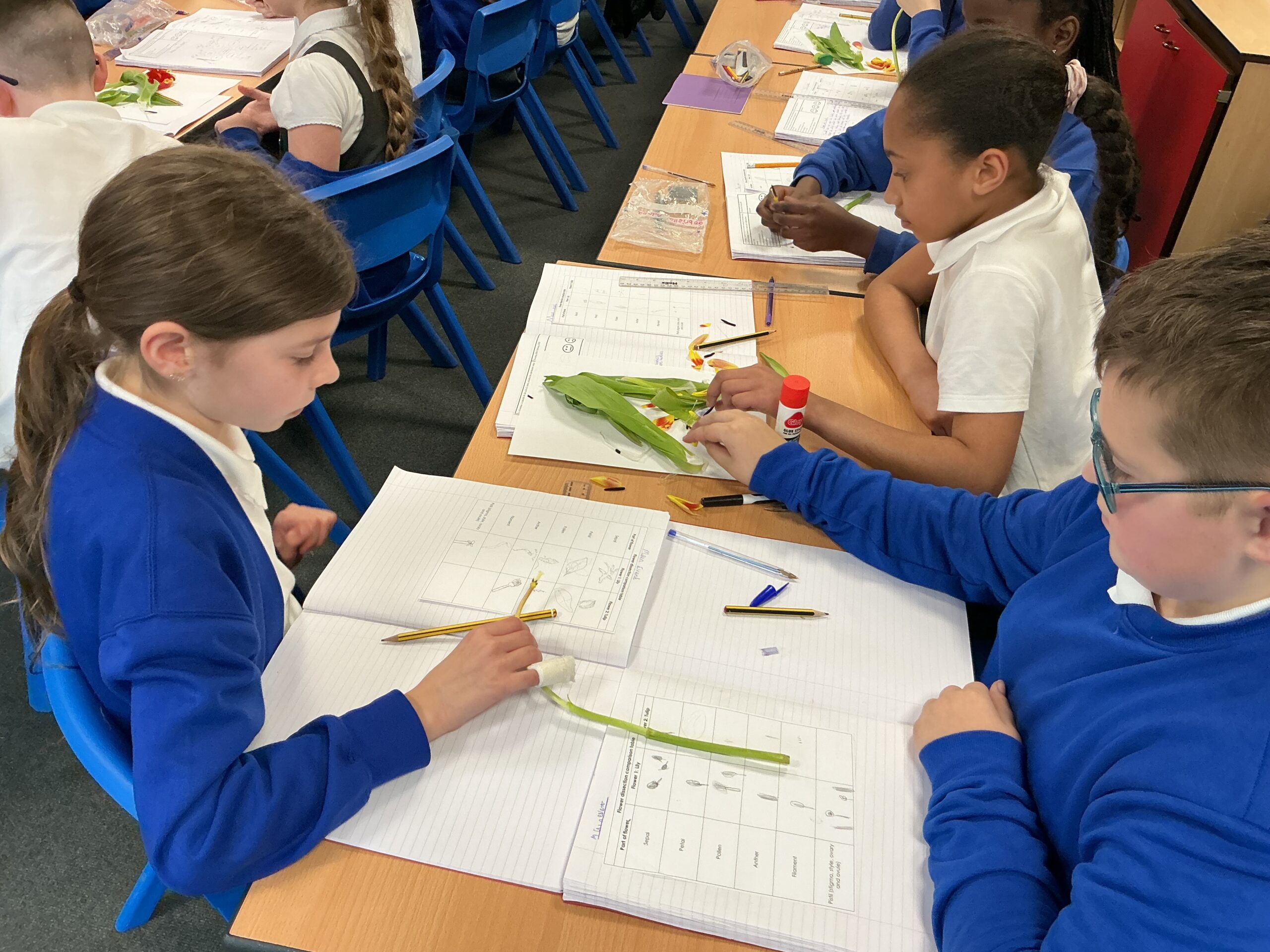 St Luke's Blog Pages