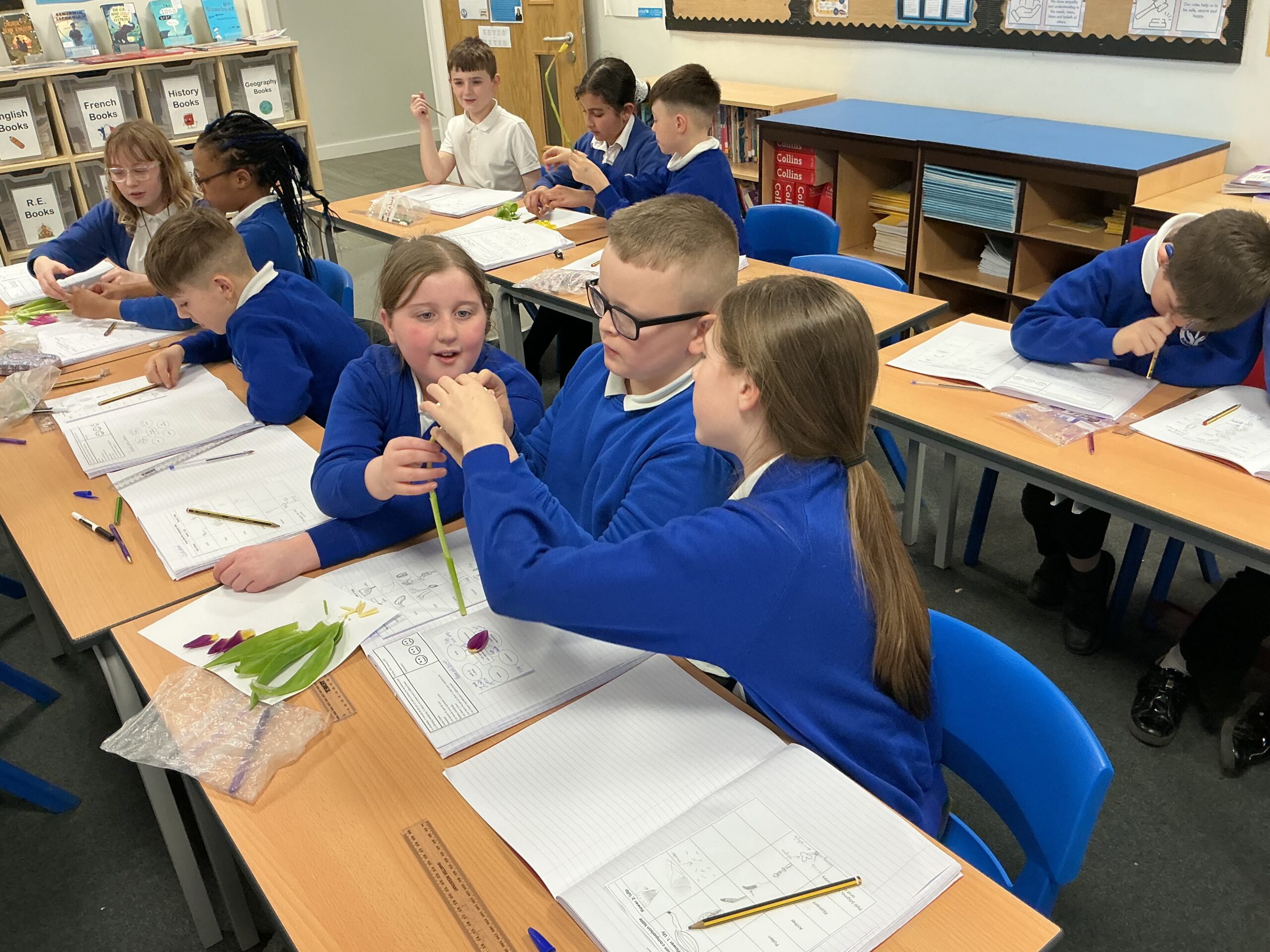 St Luke's Blog Pages