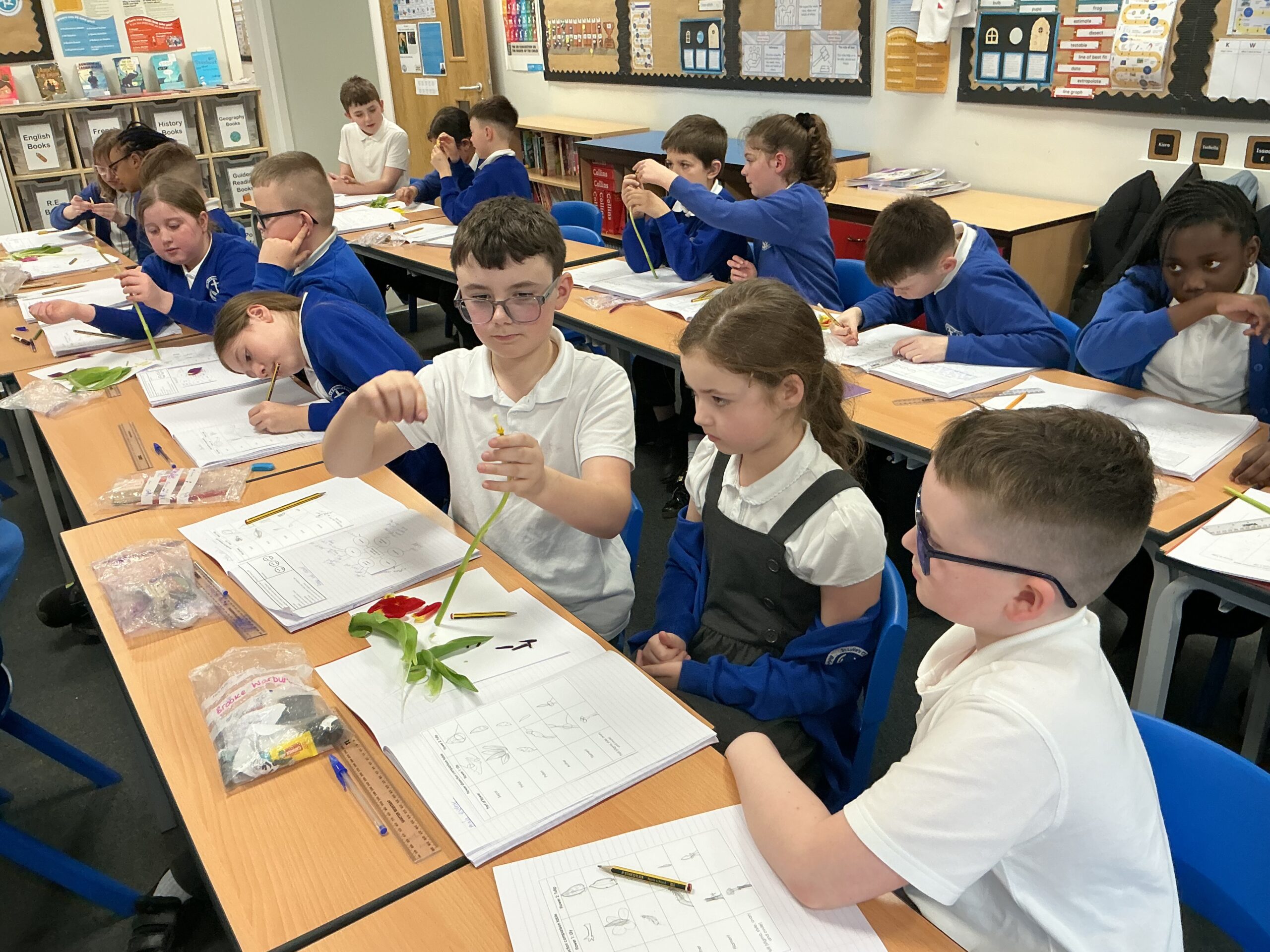 St Luke's Blog Pages