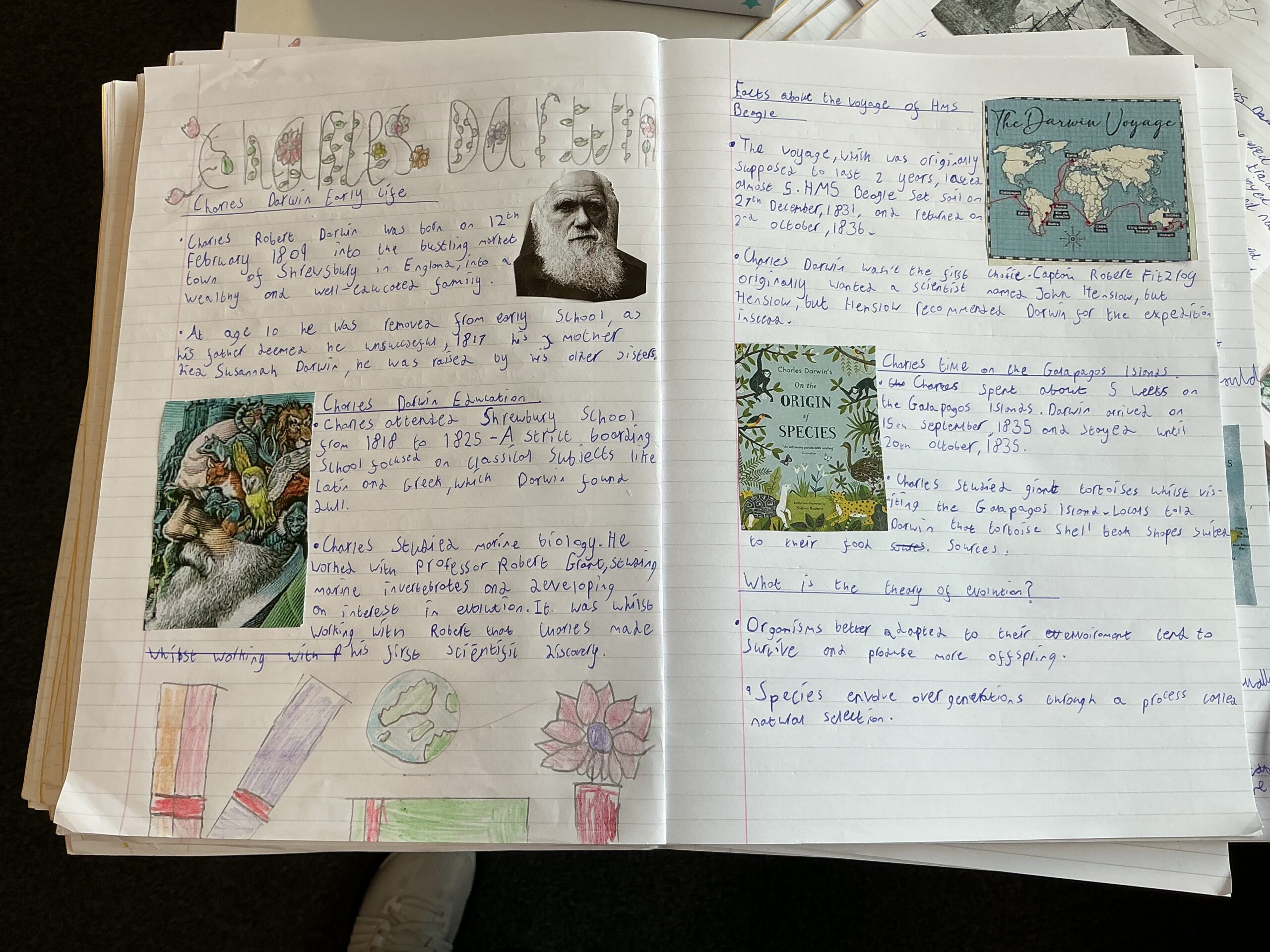St Luke's Blog Pages