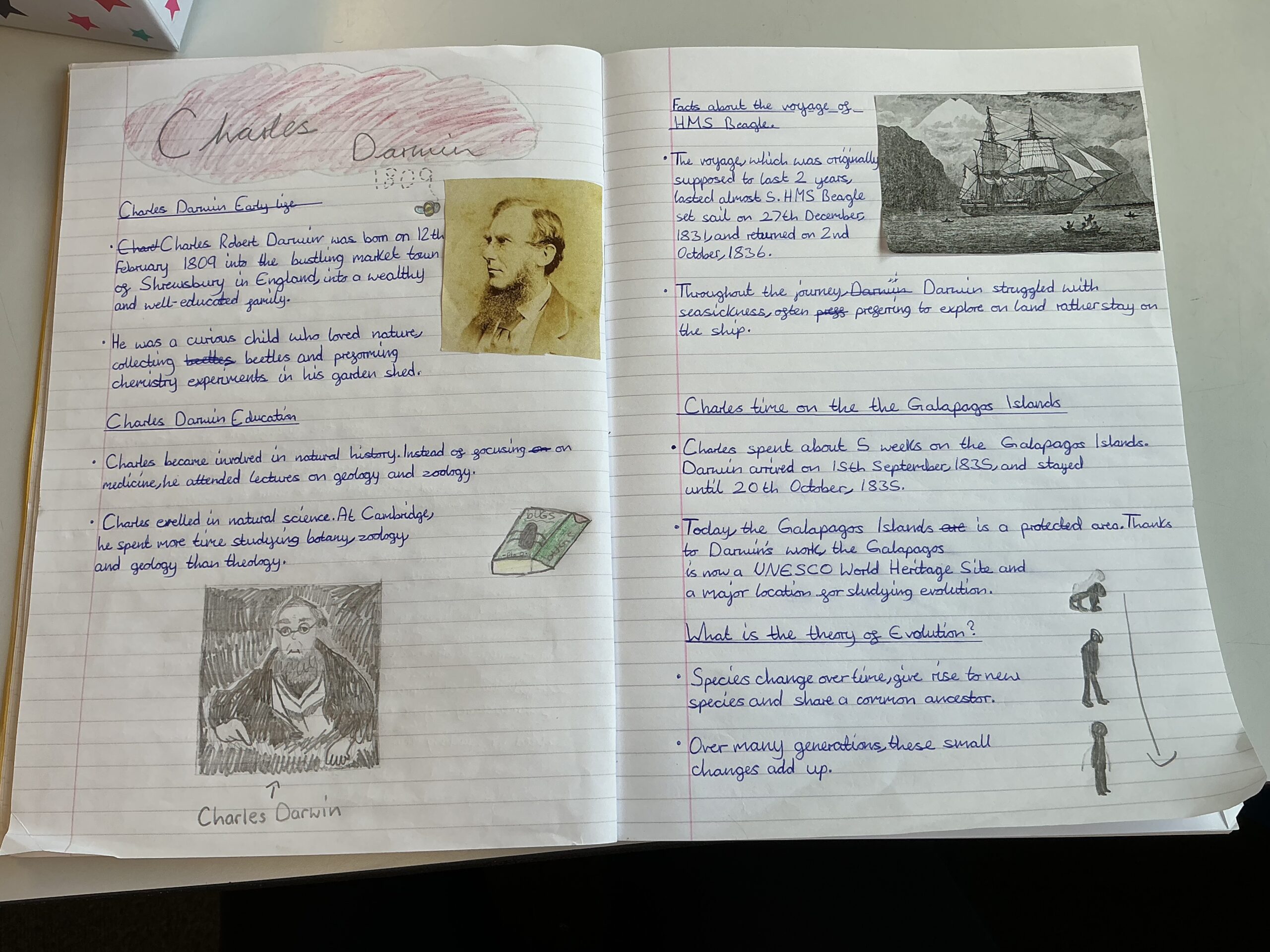 St Luke's Blog Pages