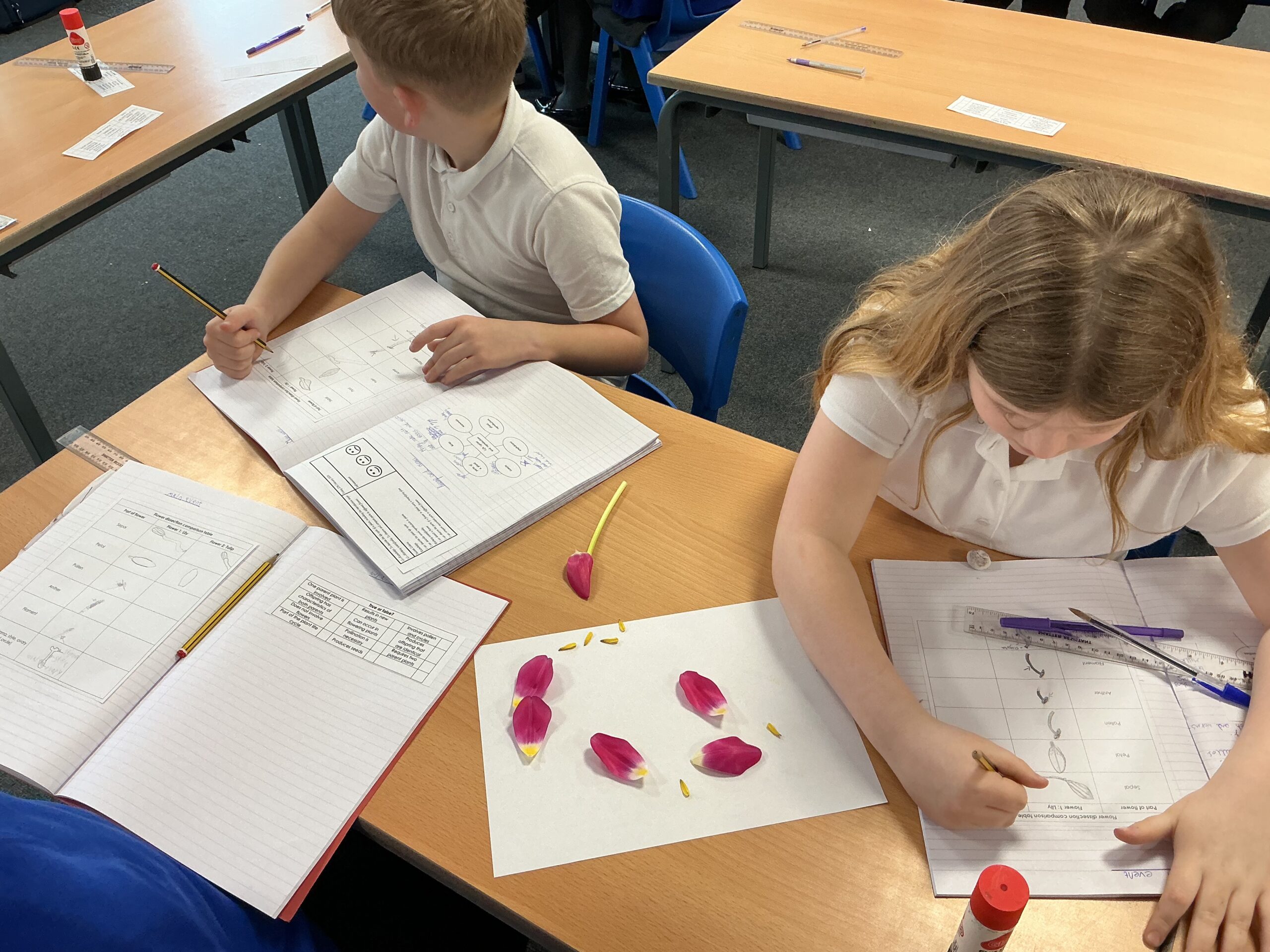 St Luke's Blog Pages