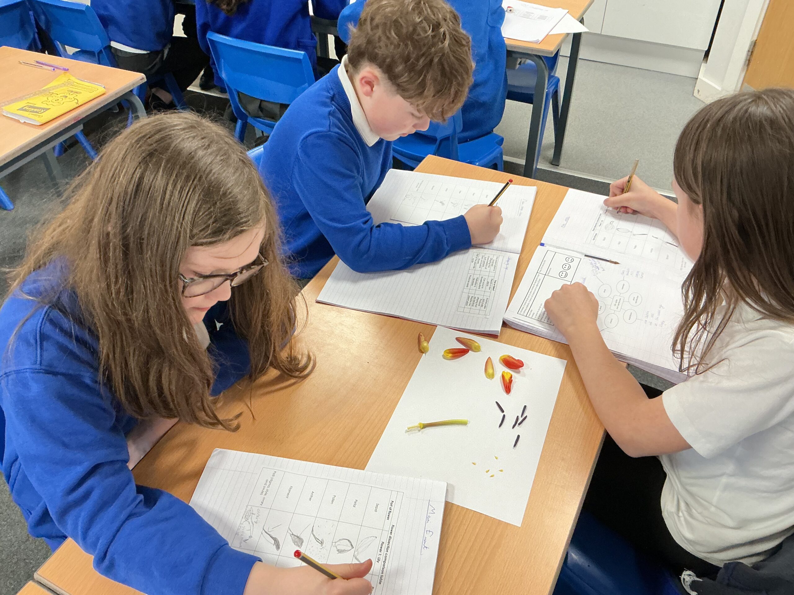 St Luke's Blog Pages