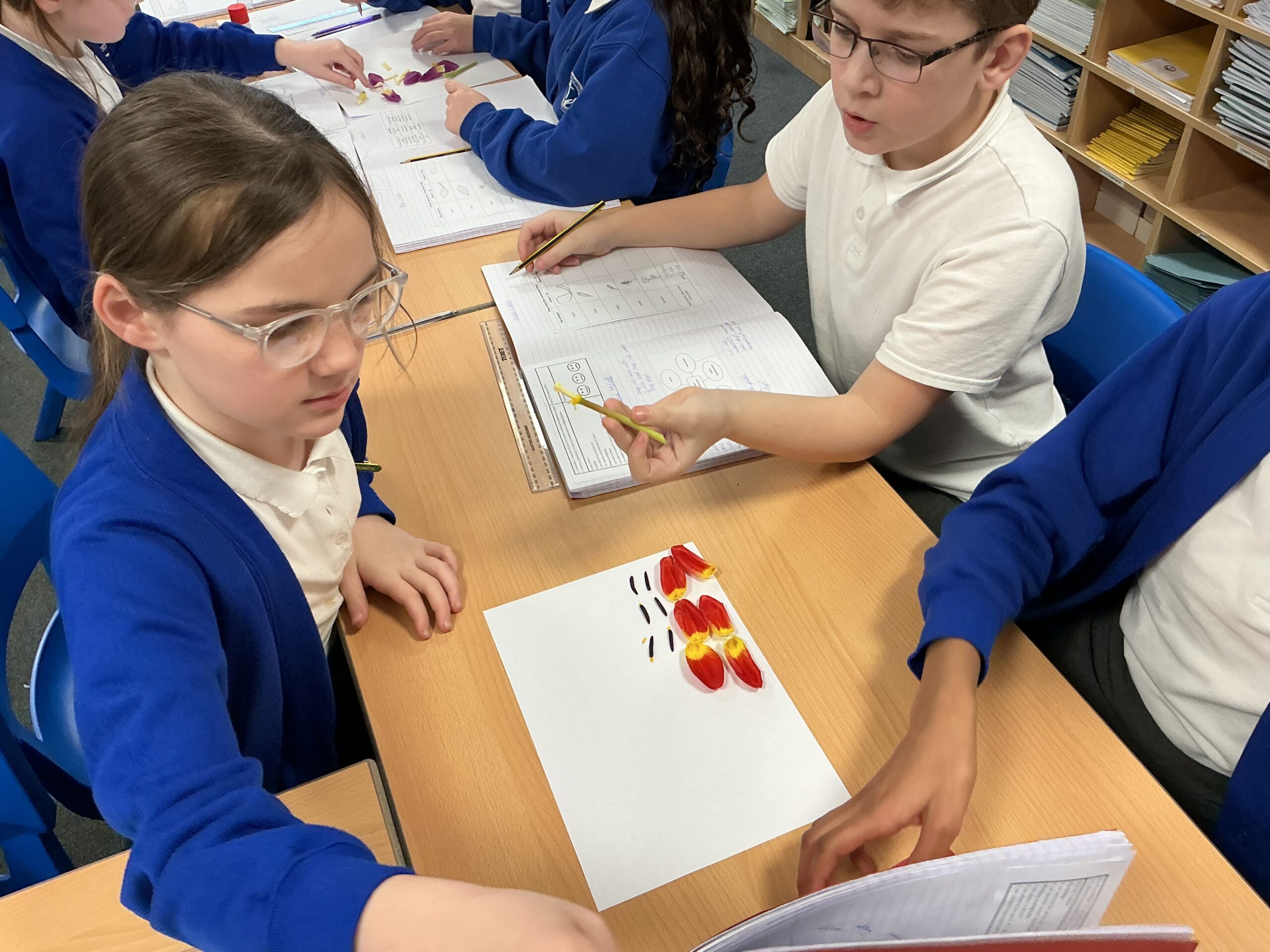 St Luke's Blog Pages