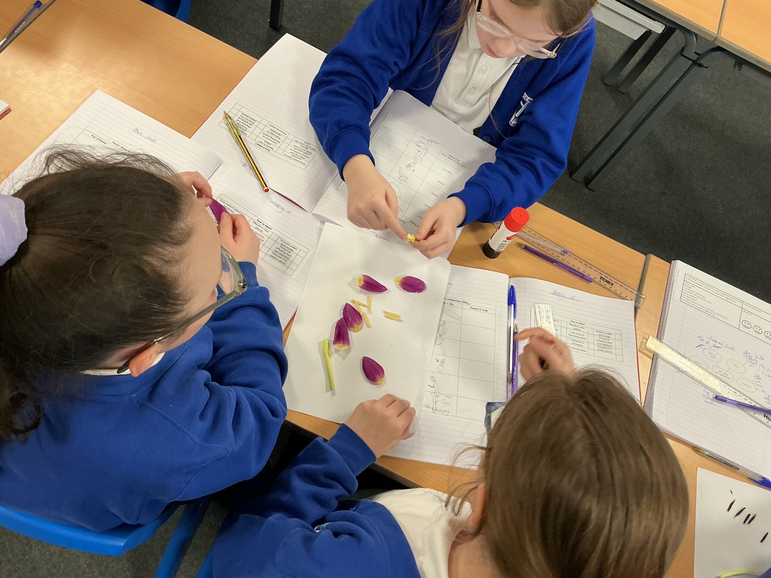 St Luke's Blog Pages