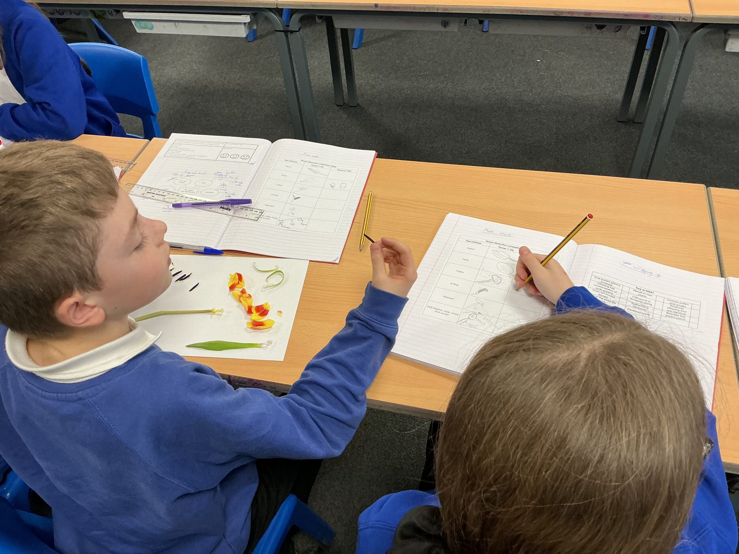 St Luke's Blog Pages