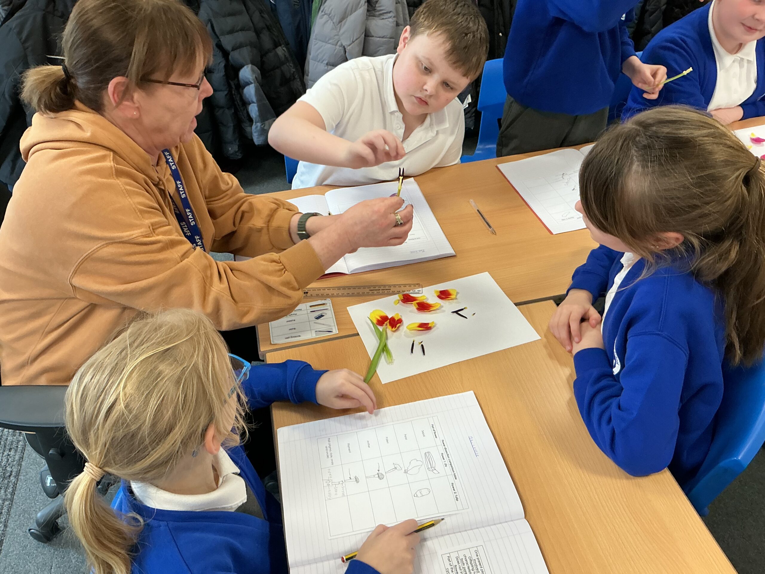 St Luke's Blog Pages
